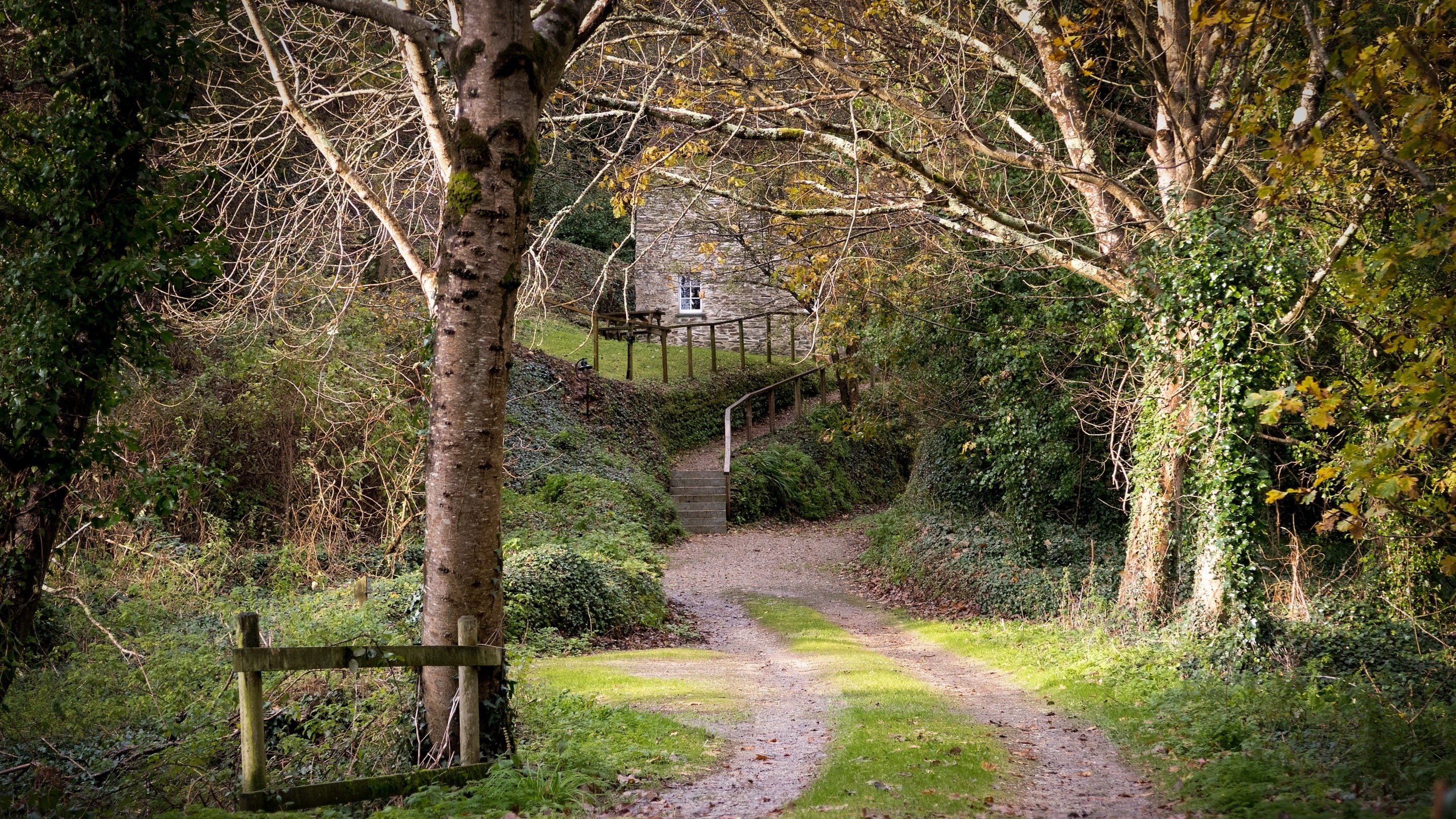 The surrounding area t Penhaligons, Cornwall