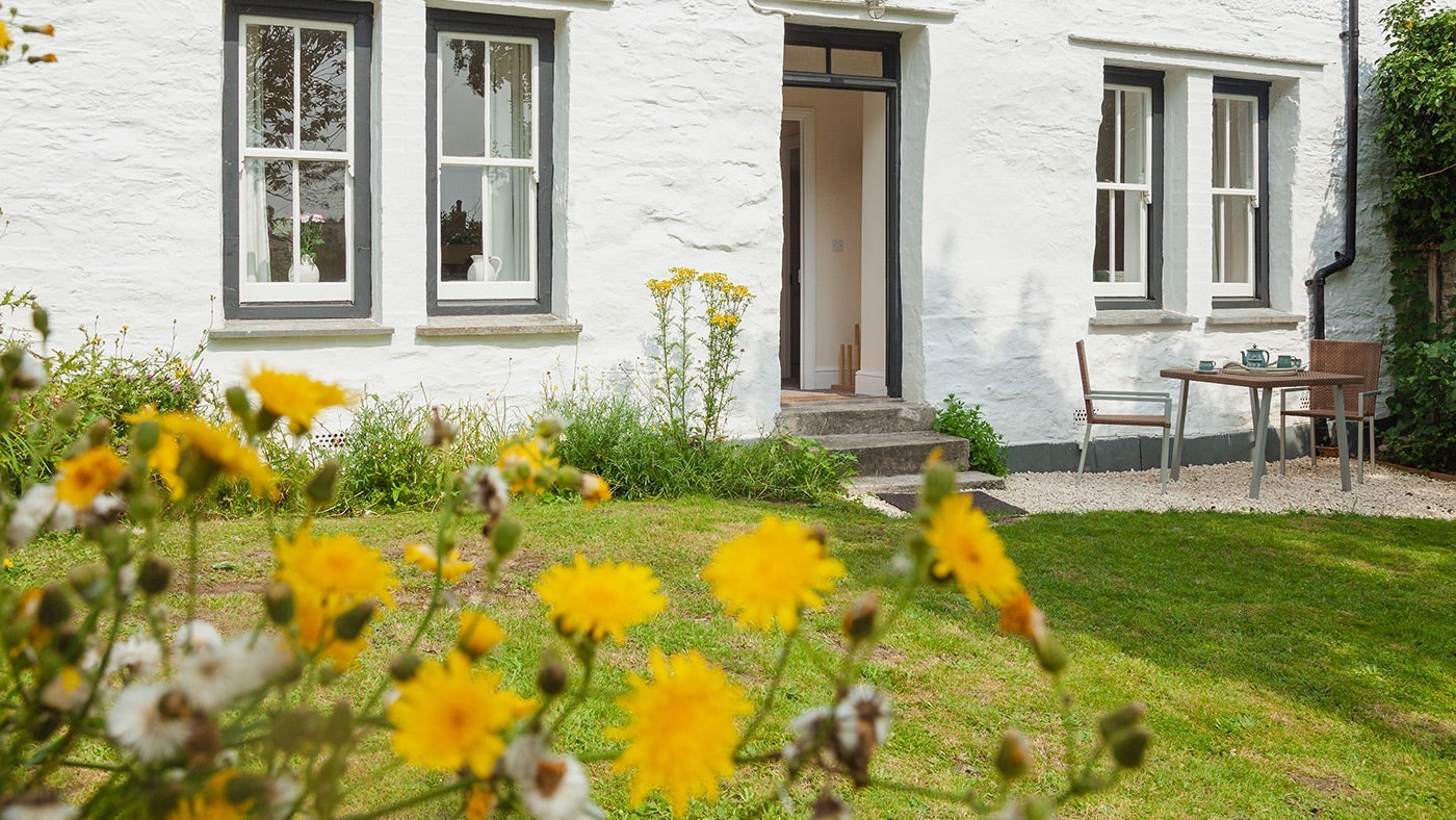 The garden at Penny Cottage, Port Isaac, Cornwall 
