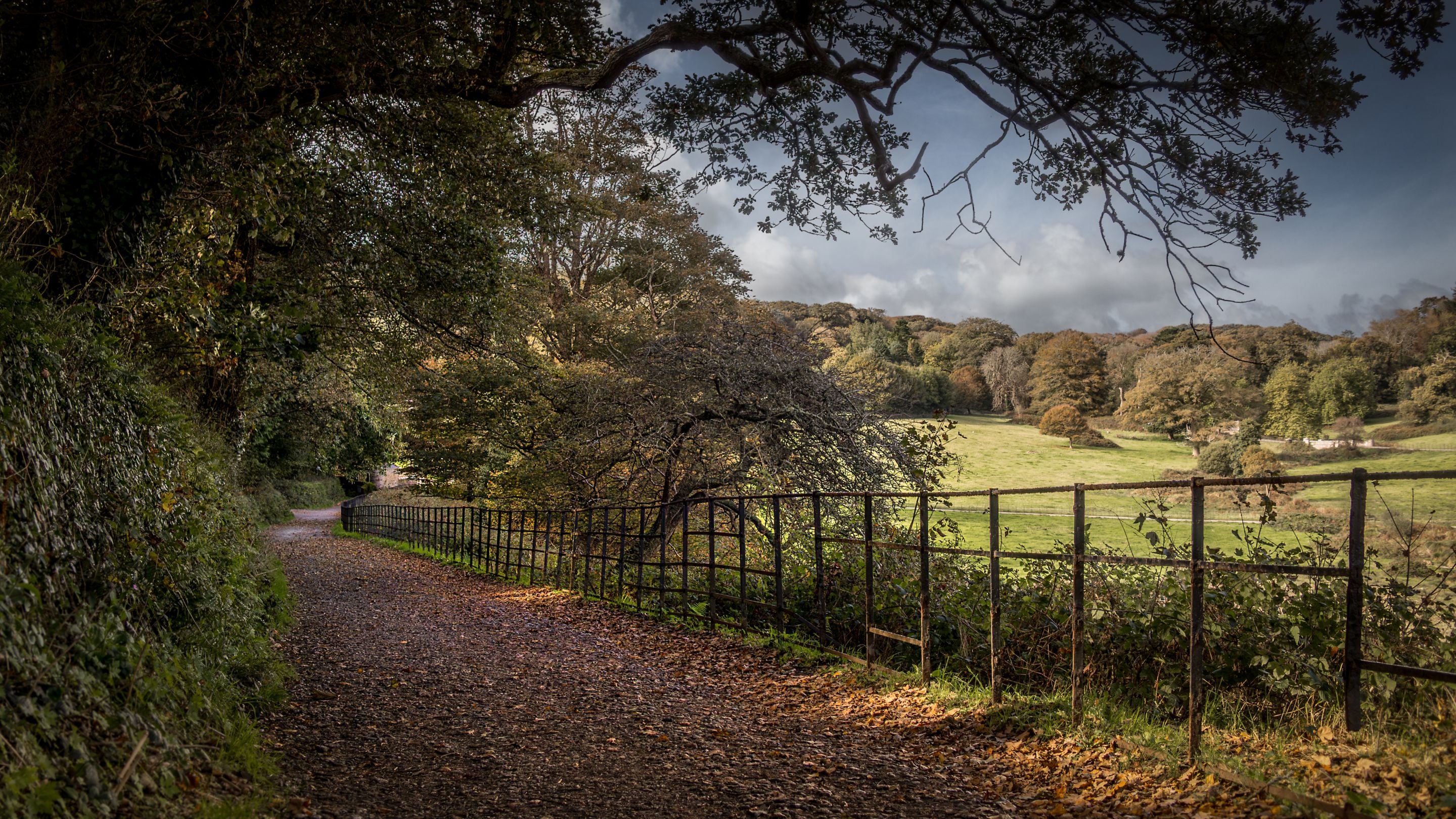 A walking trail through the parkland at Penrose, Cornwall