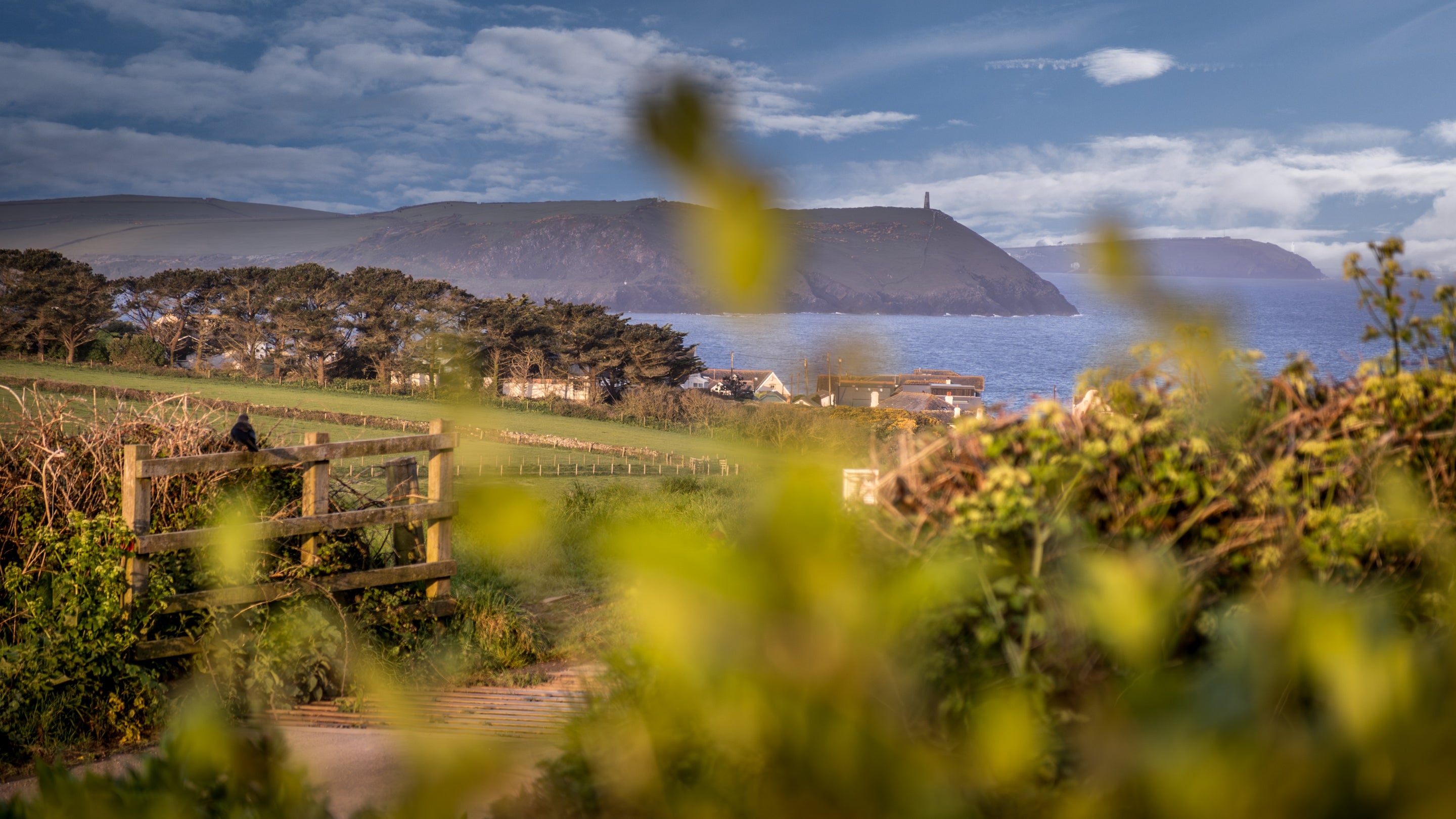The area surrounding Pentireglaze West Cottage, Cornwall