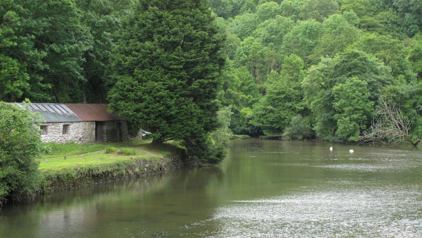 The creek, Pont Pill, Cornwall