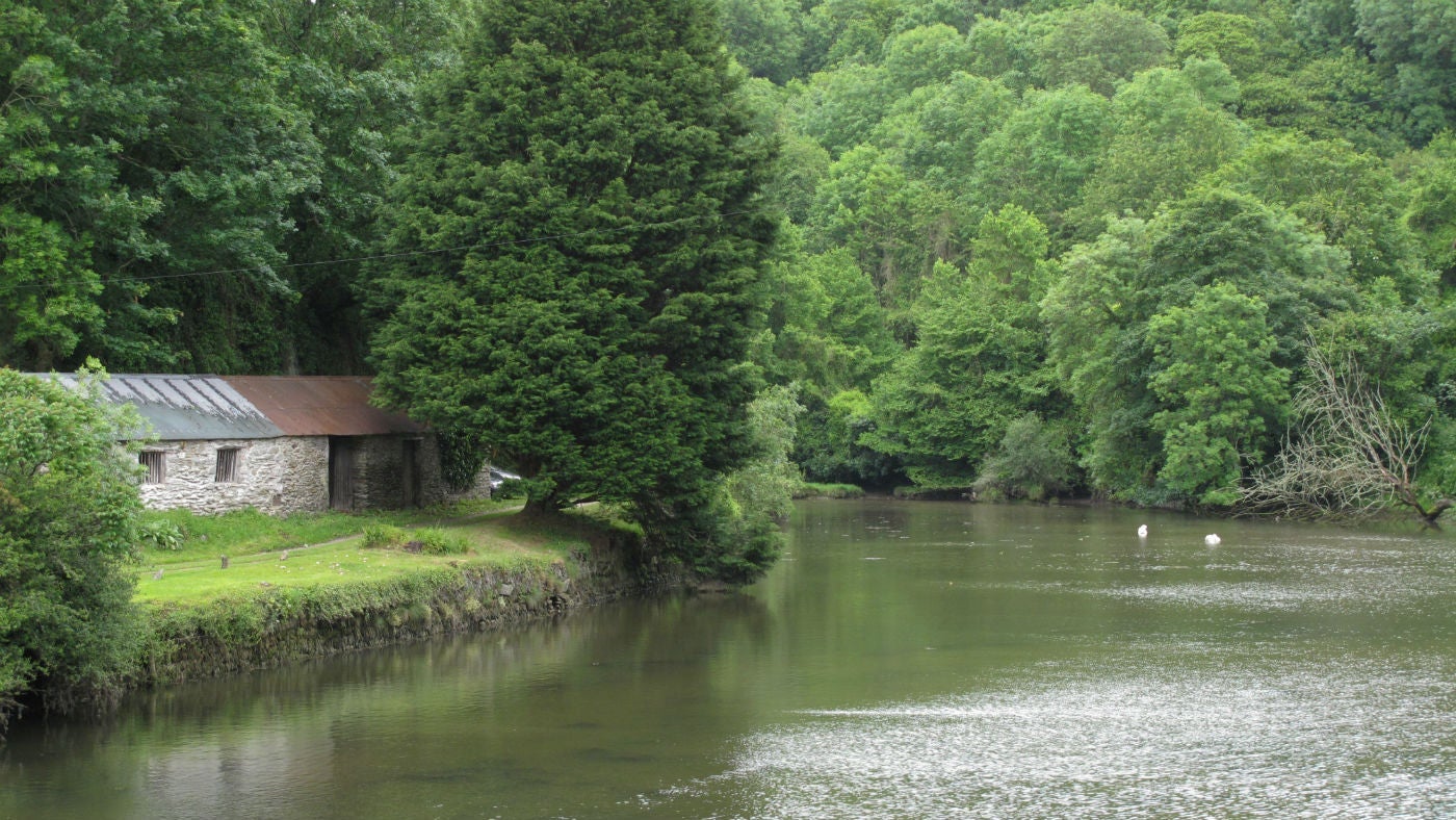 The creek at Pont Pill, Cornwall