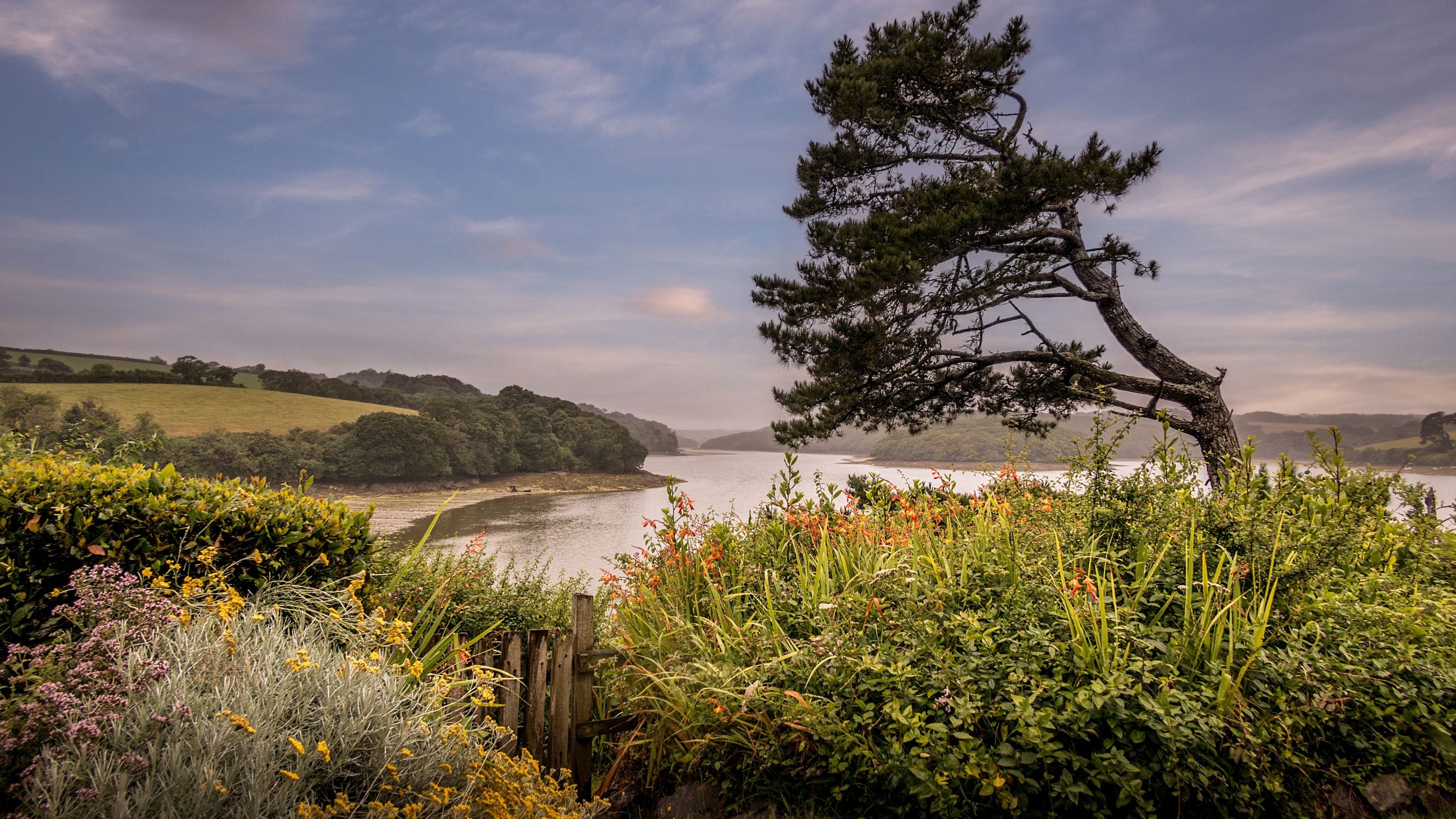 The view of Frenchman's Creek meeting the Helford River, from the garden of Powders, Cornwall