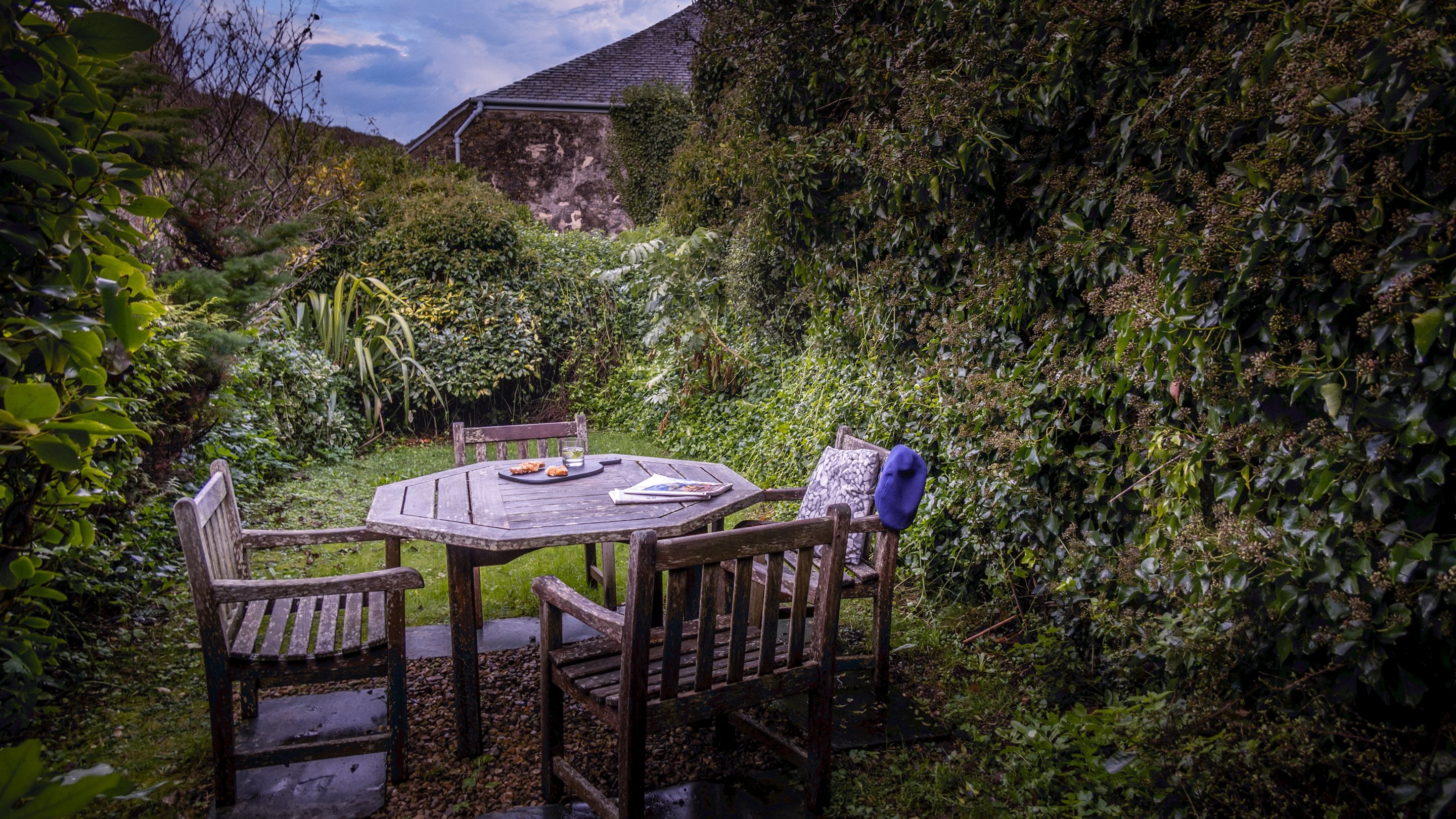 The garden at Quin Cottage, Cornwall