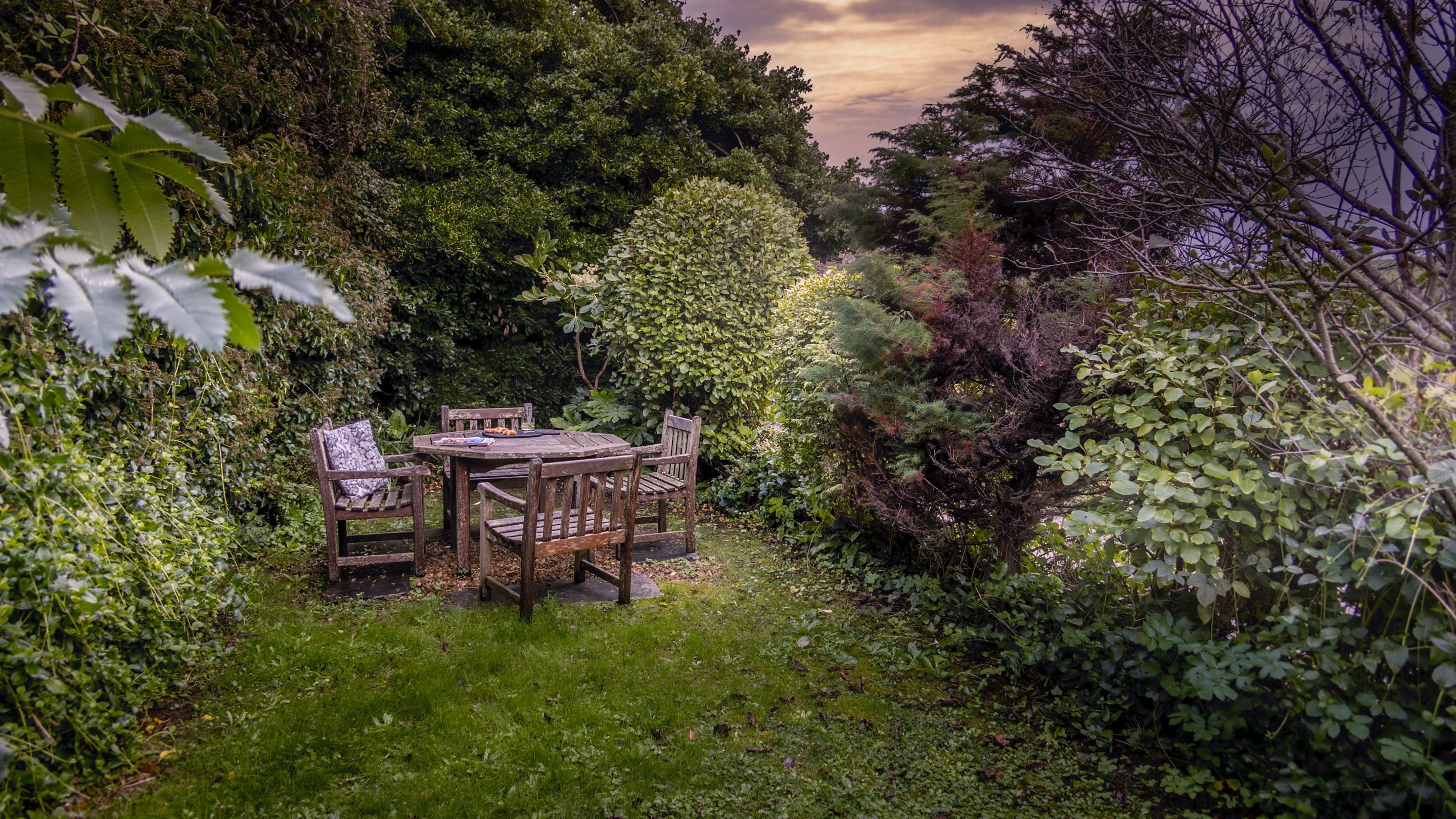 The garden at Quin Cottage, Cornwall