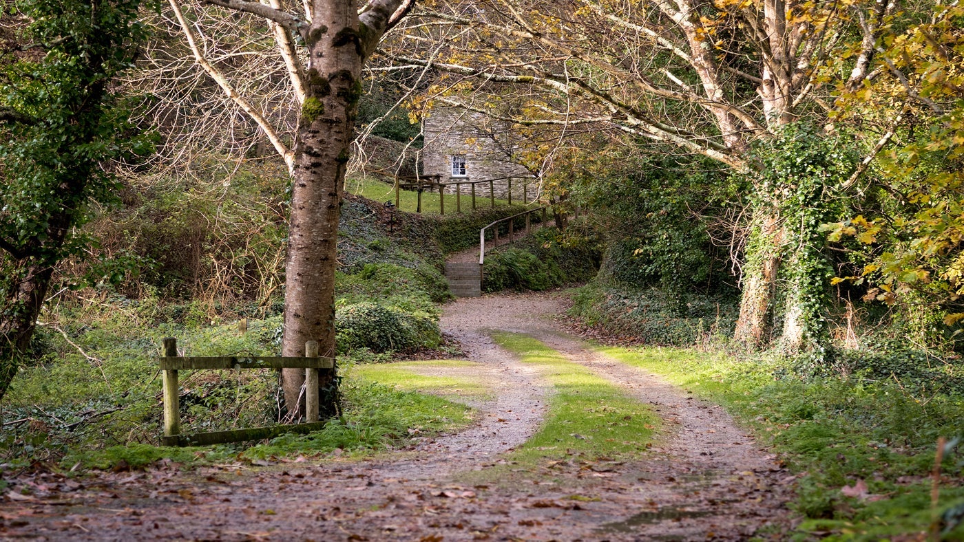 The surrounding area near Roseland Porth Barn, Cornwall