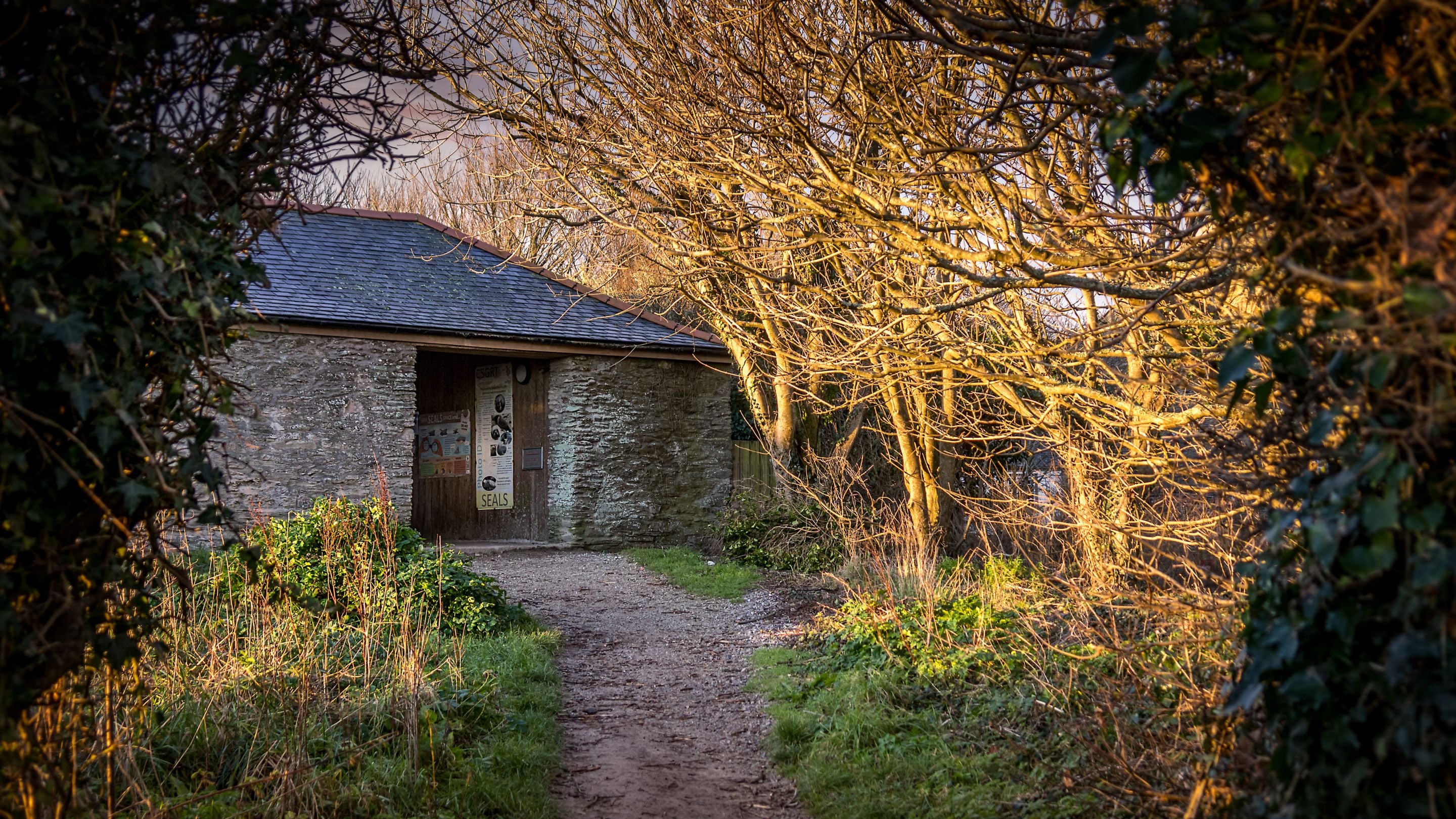 Local visitor information about seal watching near Roseland Porth Barn, Cornwall