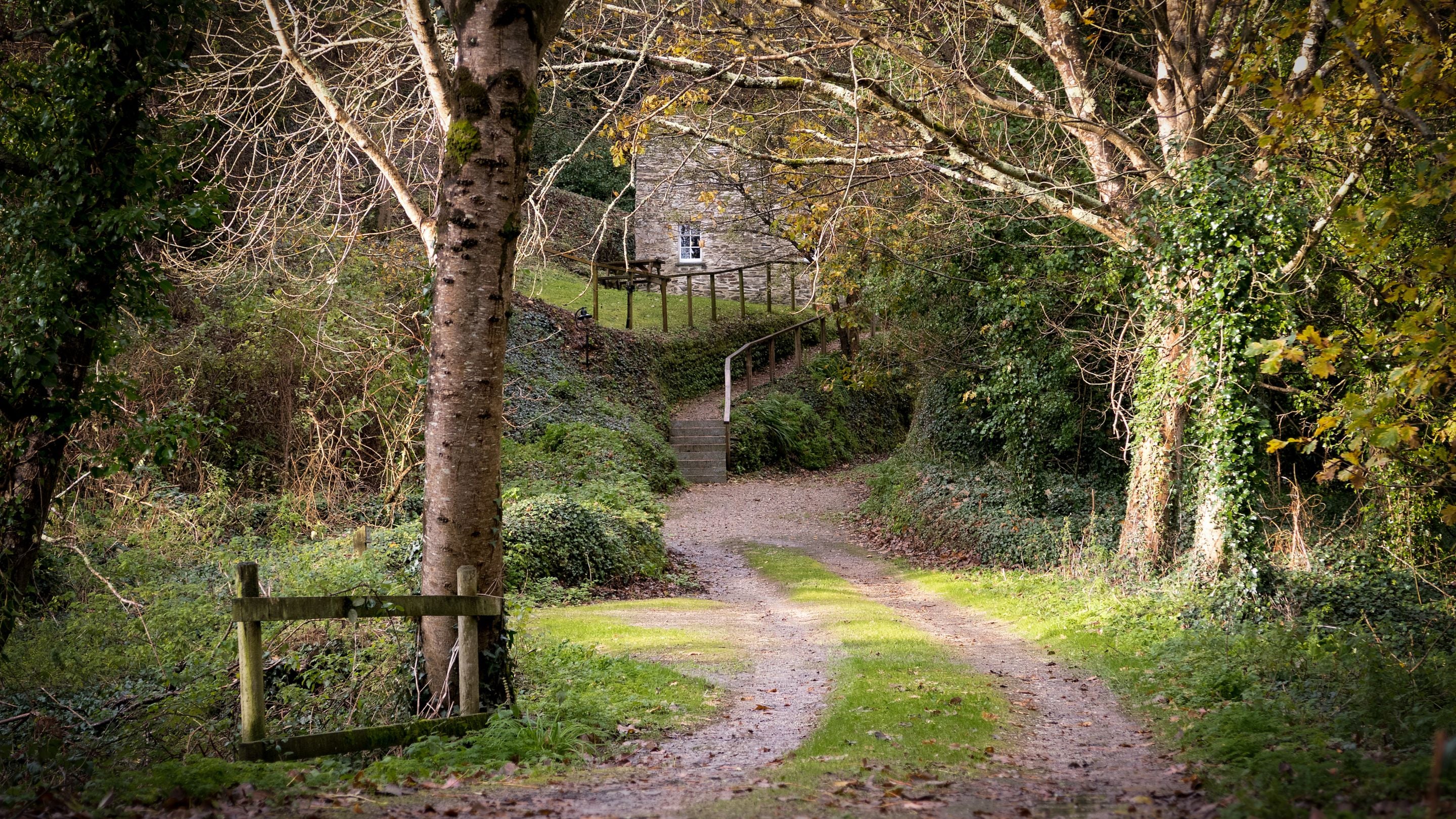 A track near Roseland Porth Barn, Cornwall