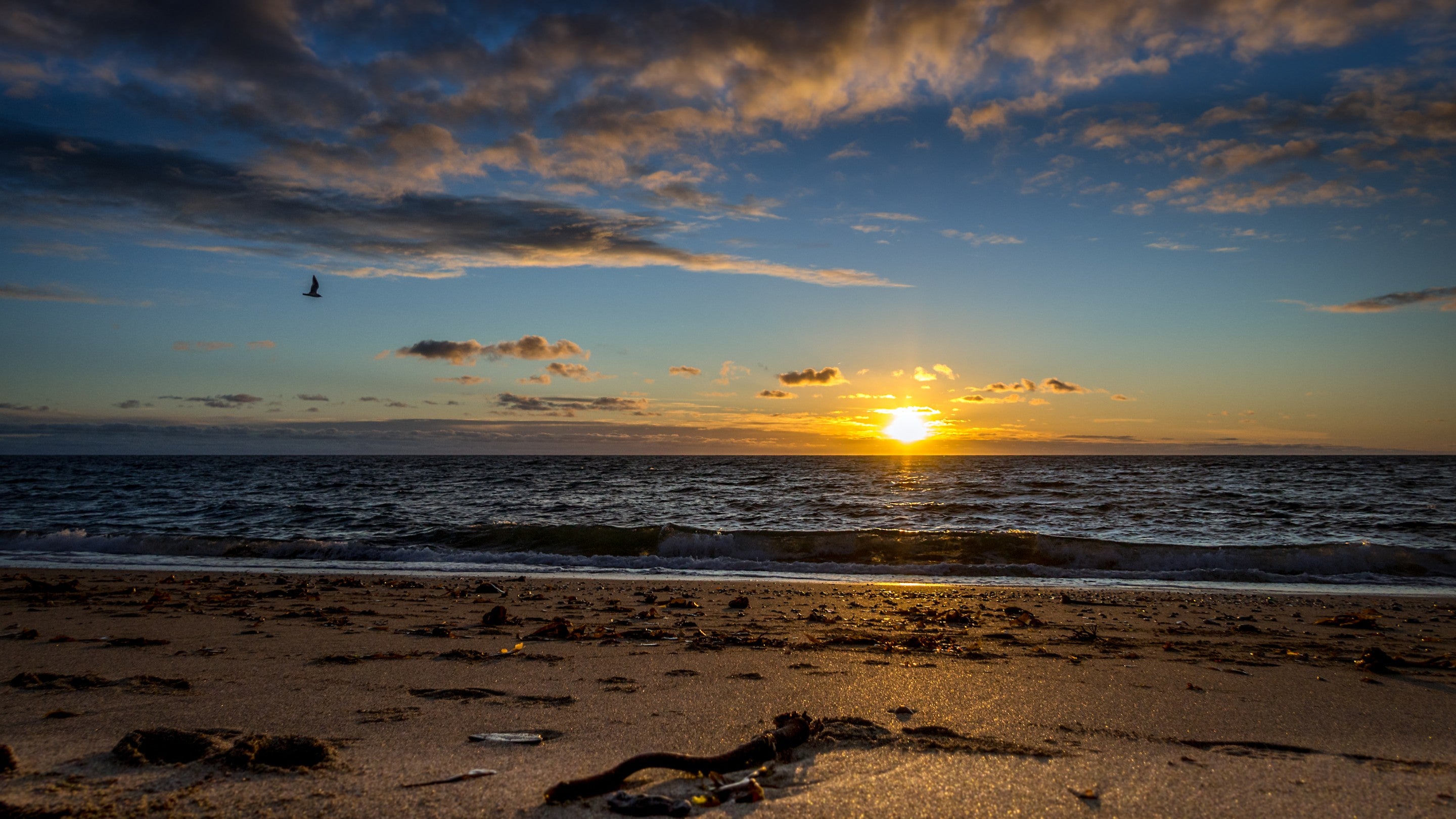 Towan Beach at sunrise, Cornwall