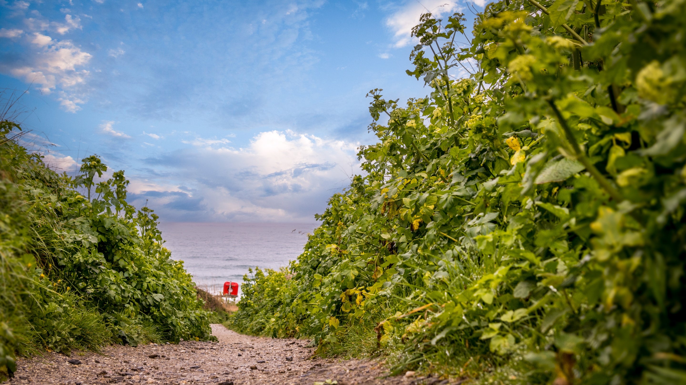 The area surrounding Roseland Porth Farm Cottage, Cornwall