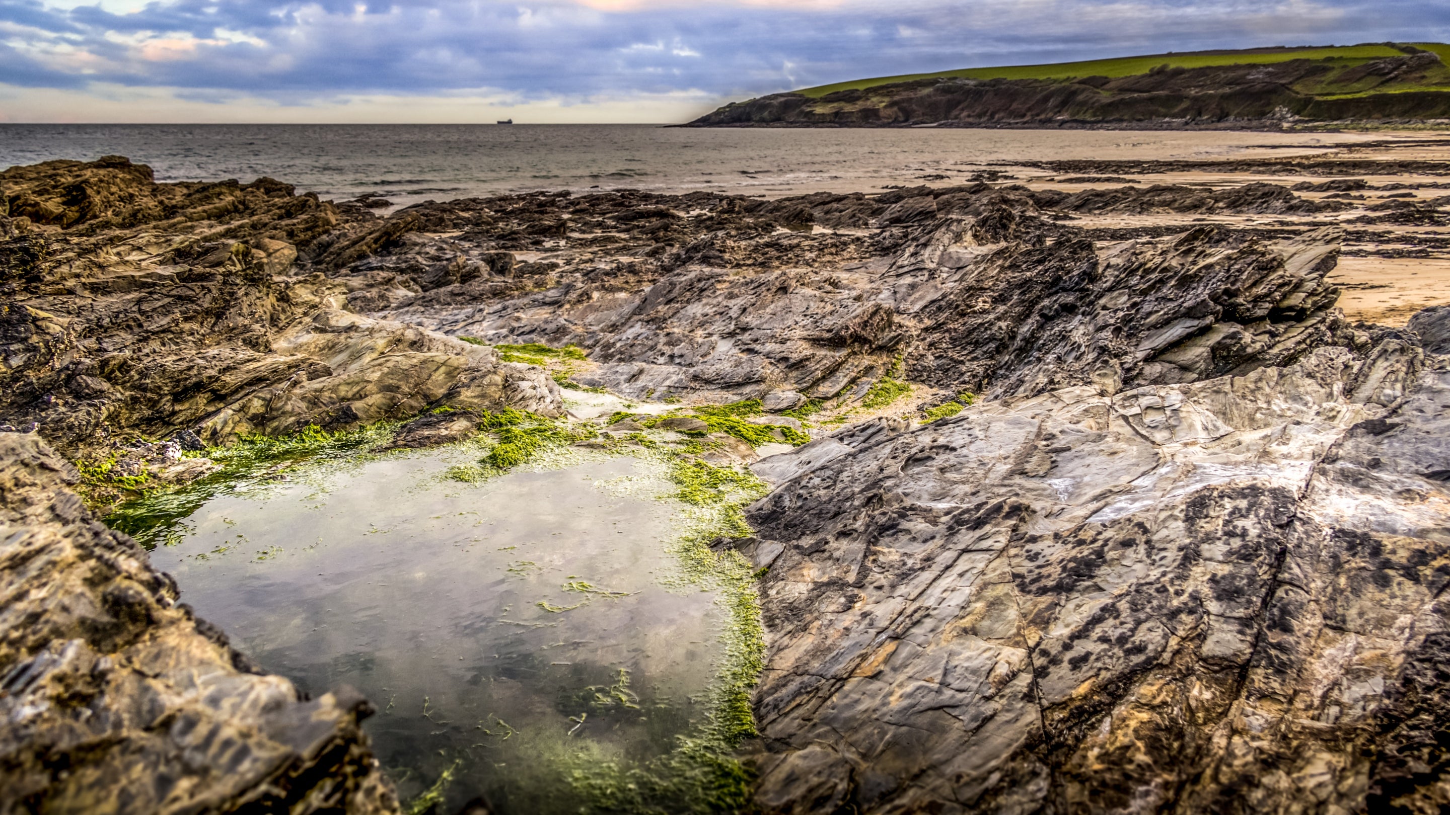 The area surrounding Roseland Porth Farm Cottage, Cornwall