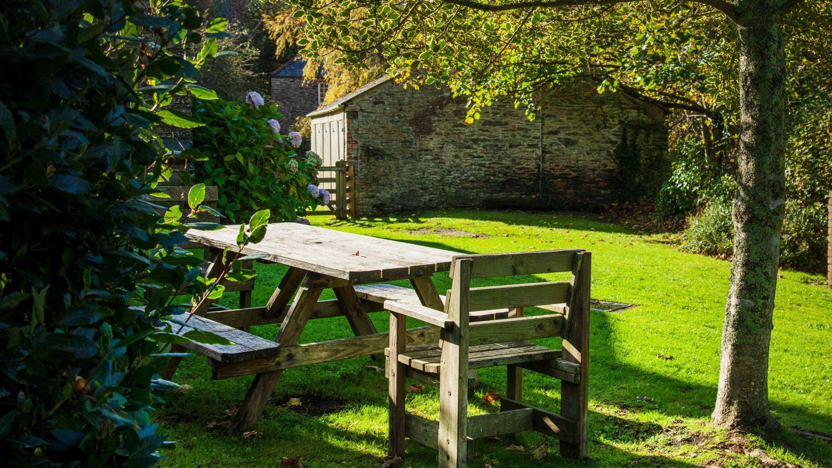 The garden at Roseland Porth Farm House, Cornwall
