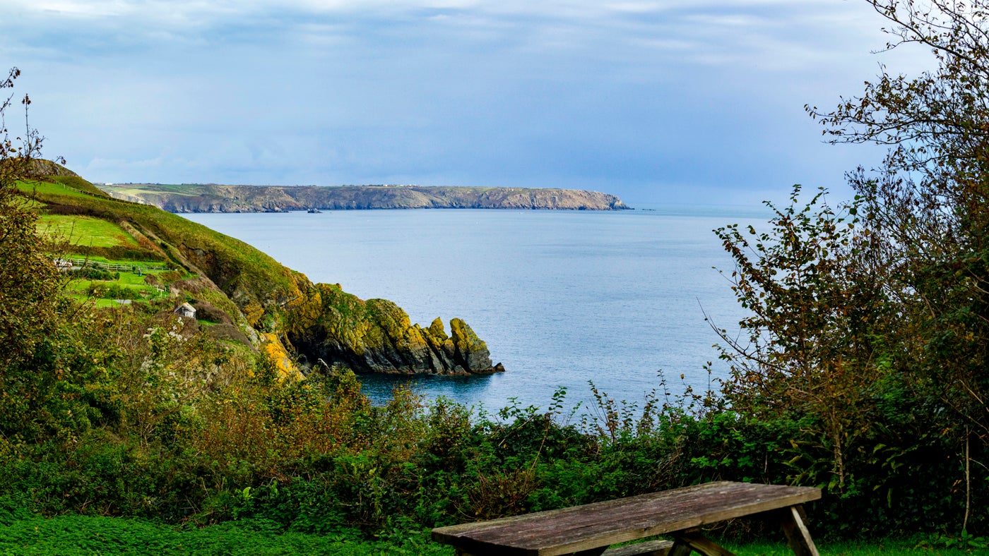 The view from the garden at Serpentine, Cornwall