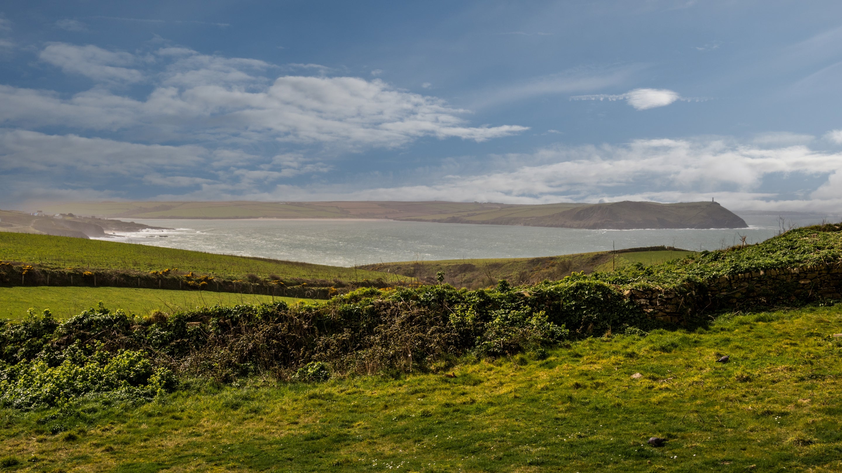 The area surrounding Stepper View, Cornwall