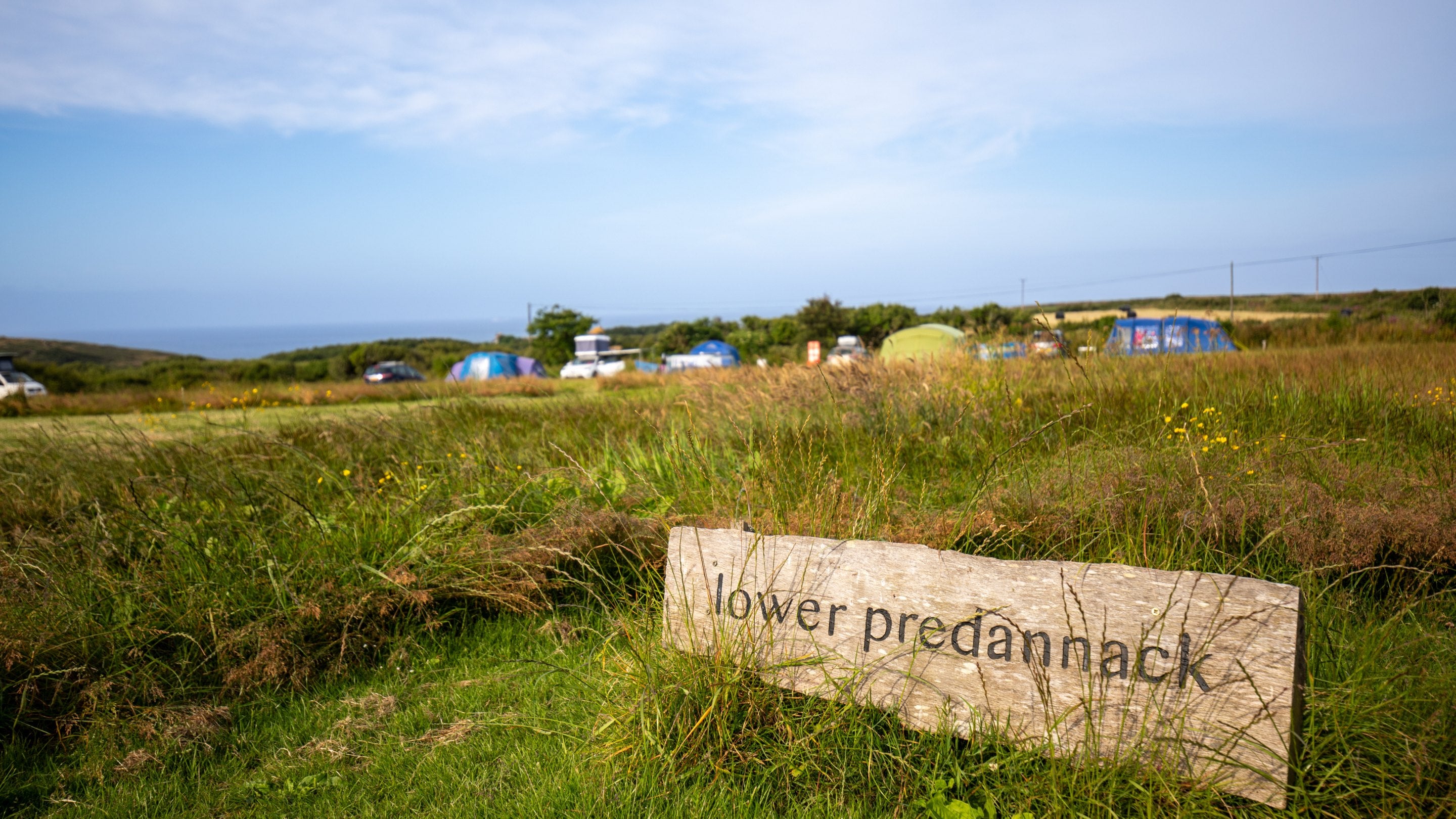 Lower Predannack field at Teneriffe Farm Campsite, Cornwall