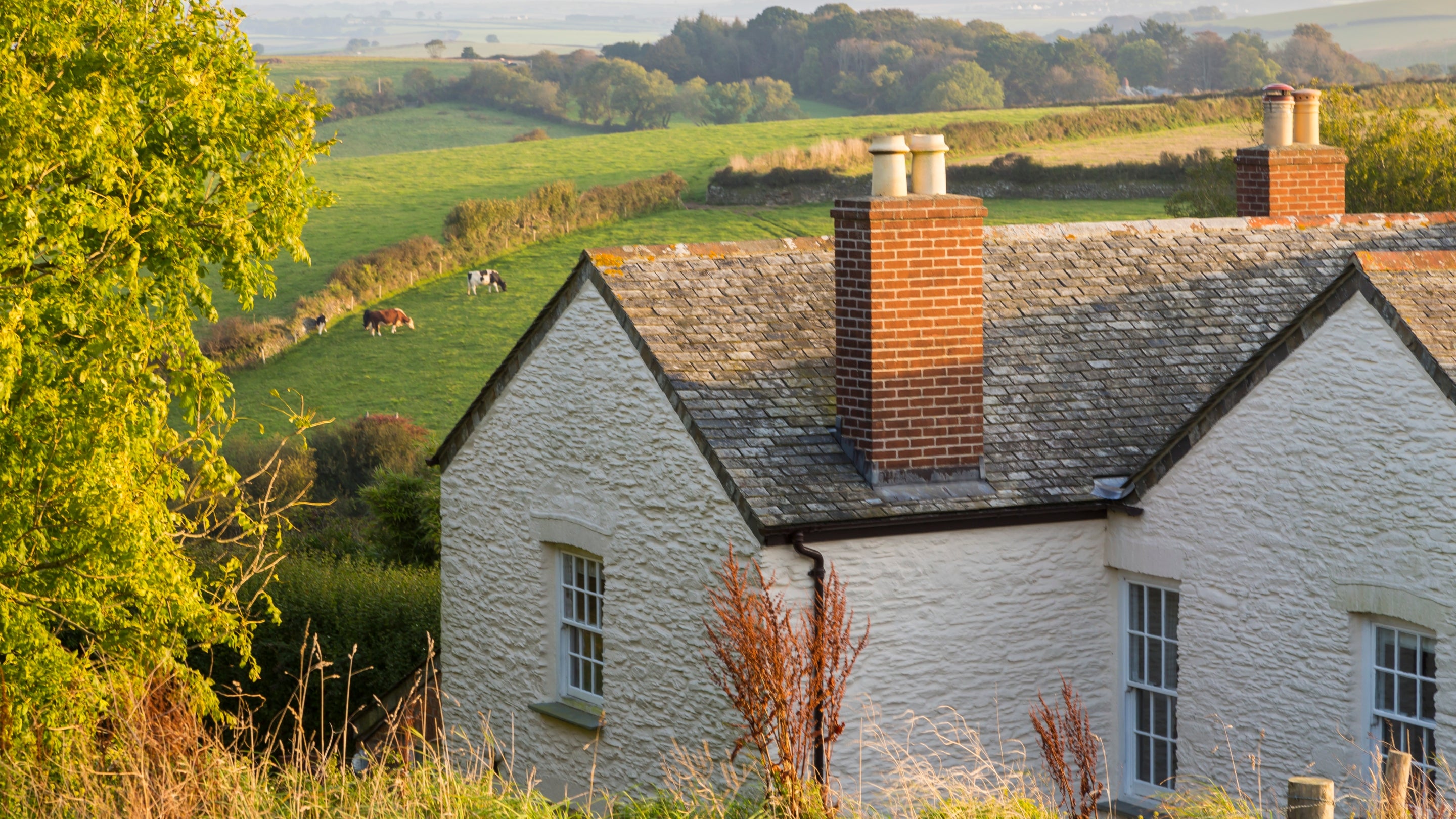 The exterior of Tippett's, Cornwall