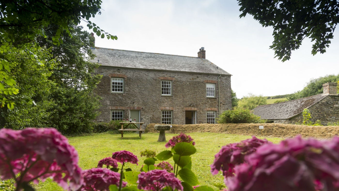 The garden at Towan Cottage, Roseland, Cornwall