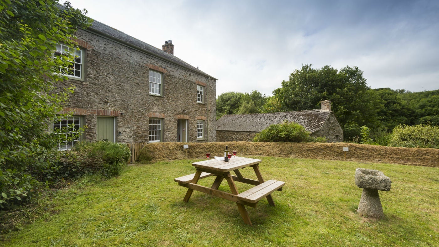 The garden at Towan Cottage, Roseland, Cornwall