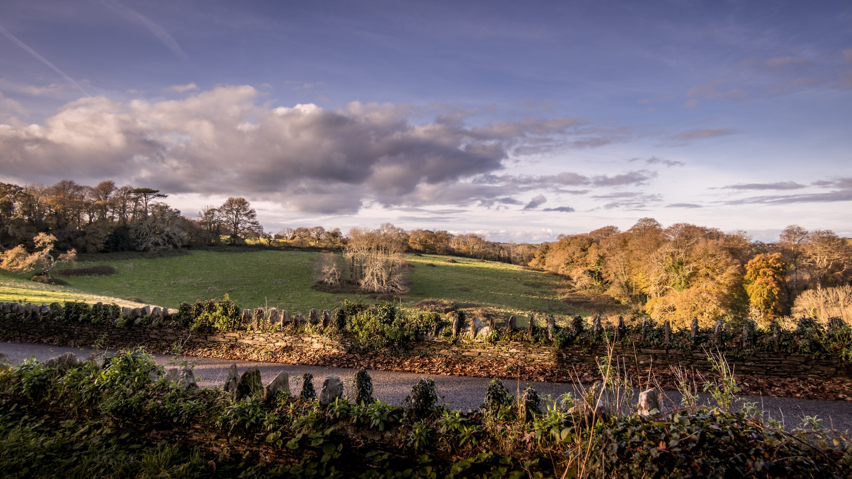Countryside near Trelissick New Lodge, Cornwall