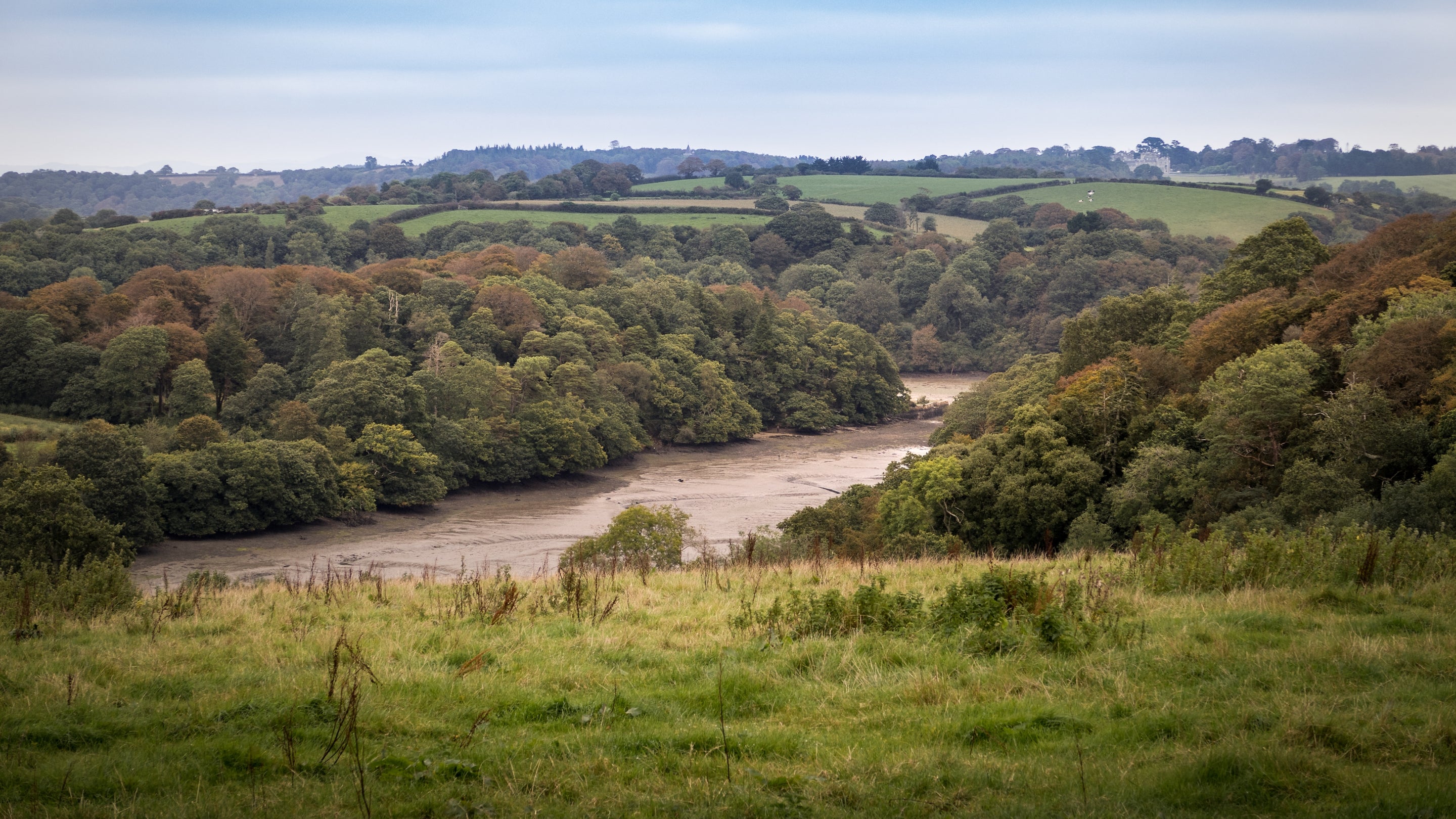 The surrounding area at Old Lodge, Cornwall