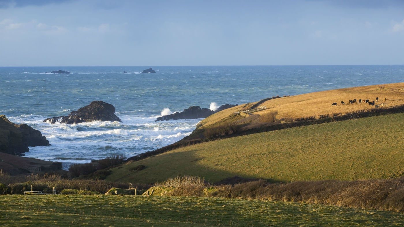 The local area at Trescore, nr Padstow, Cornwall