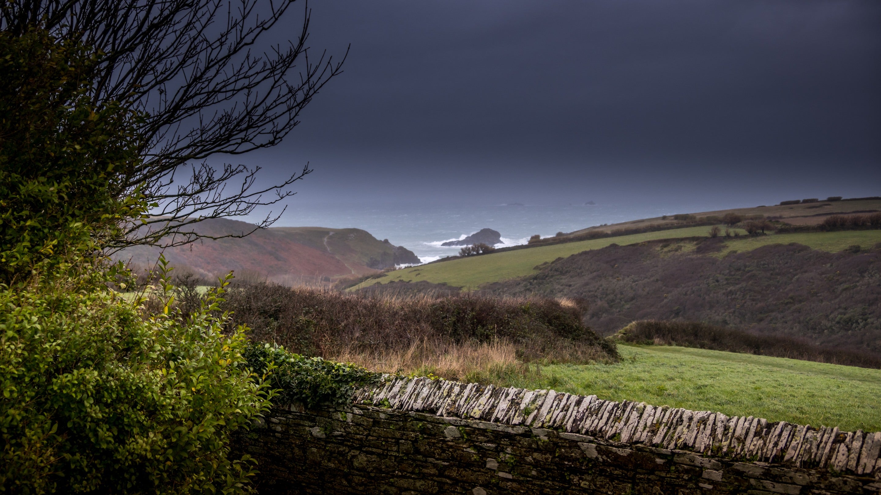 A view of rolling hills and the sea from the garden at Trescore, Cornwall