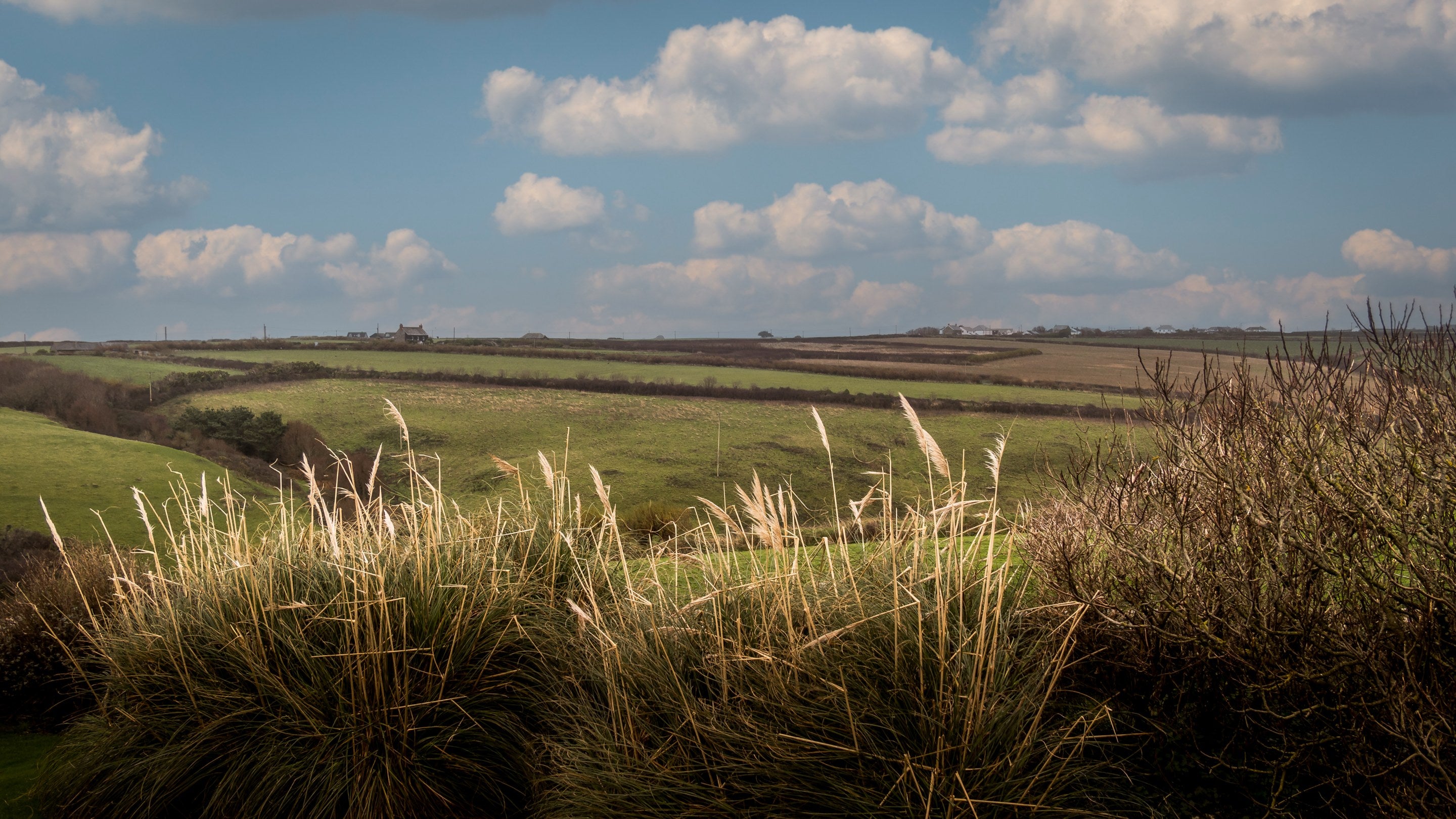 The countryside around Trescore, Cornwall