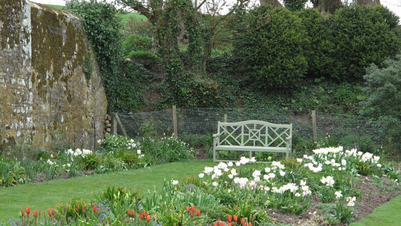 The garden at The West Wing, Trerice, Cornwall