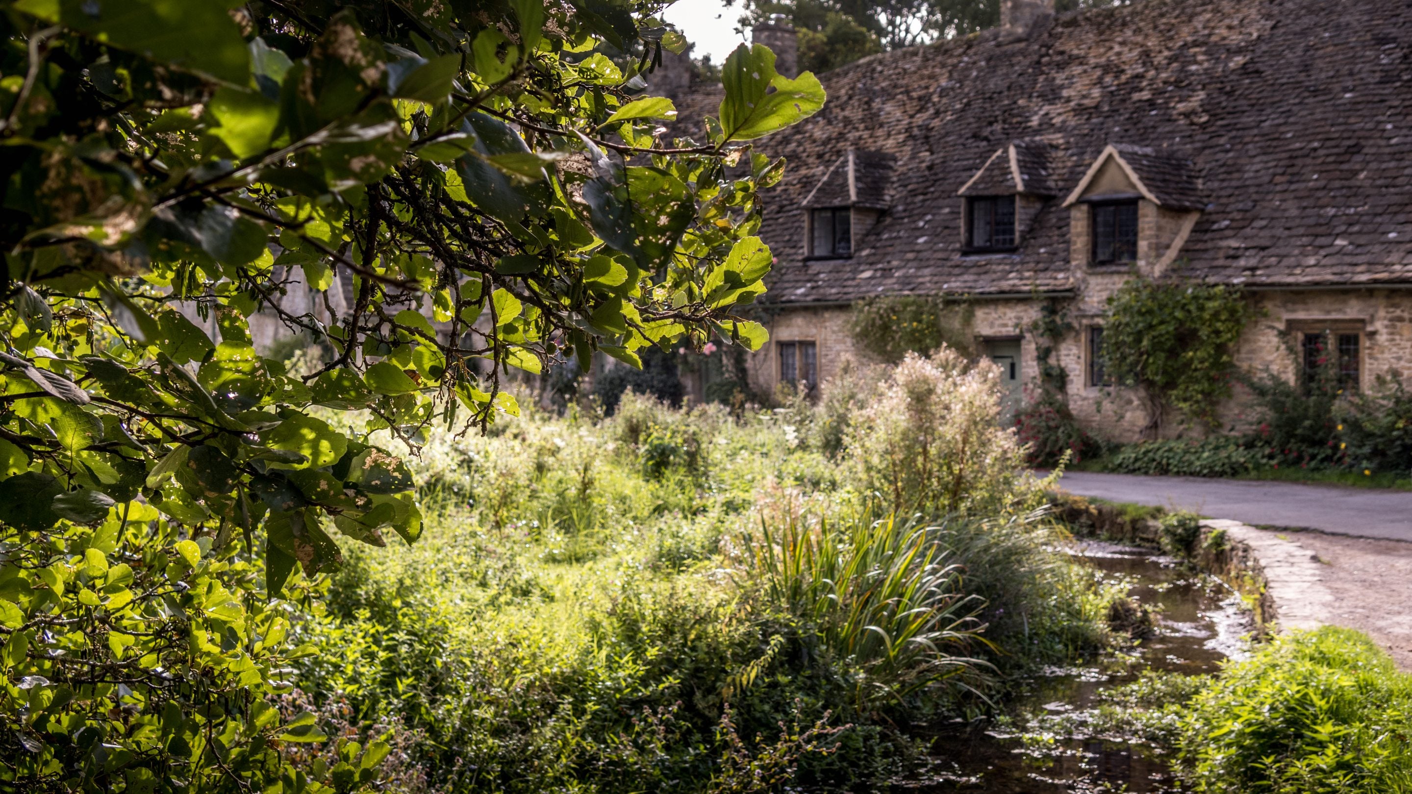 Arlington Row and the water meadow, Gloucestershire