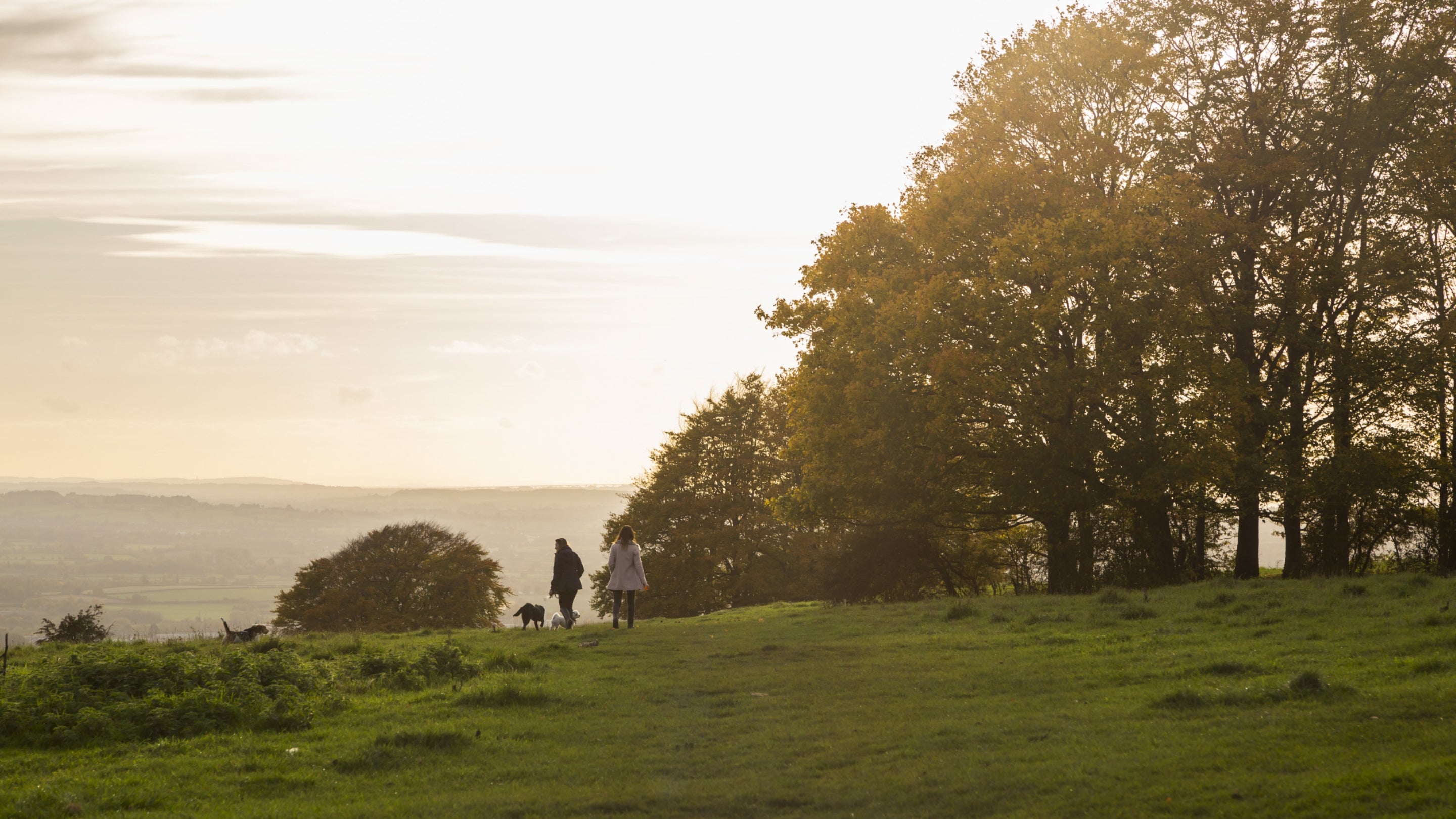 Walkers with a dog at Haresfield Beacon in Gloucestershire