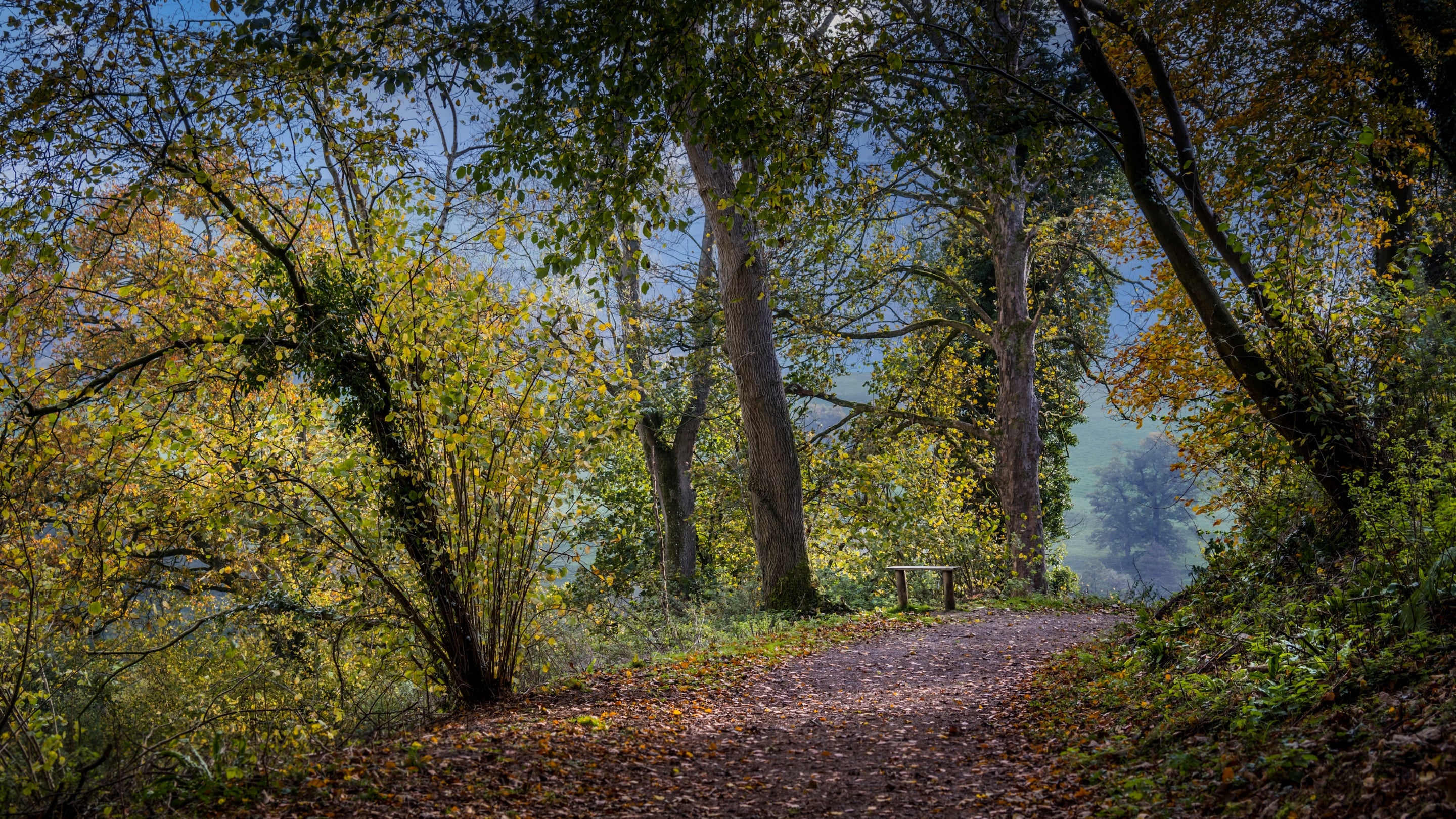 The area surrounding Lion Lodge, Gloucestershire