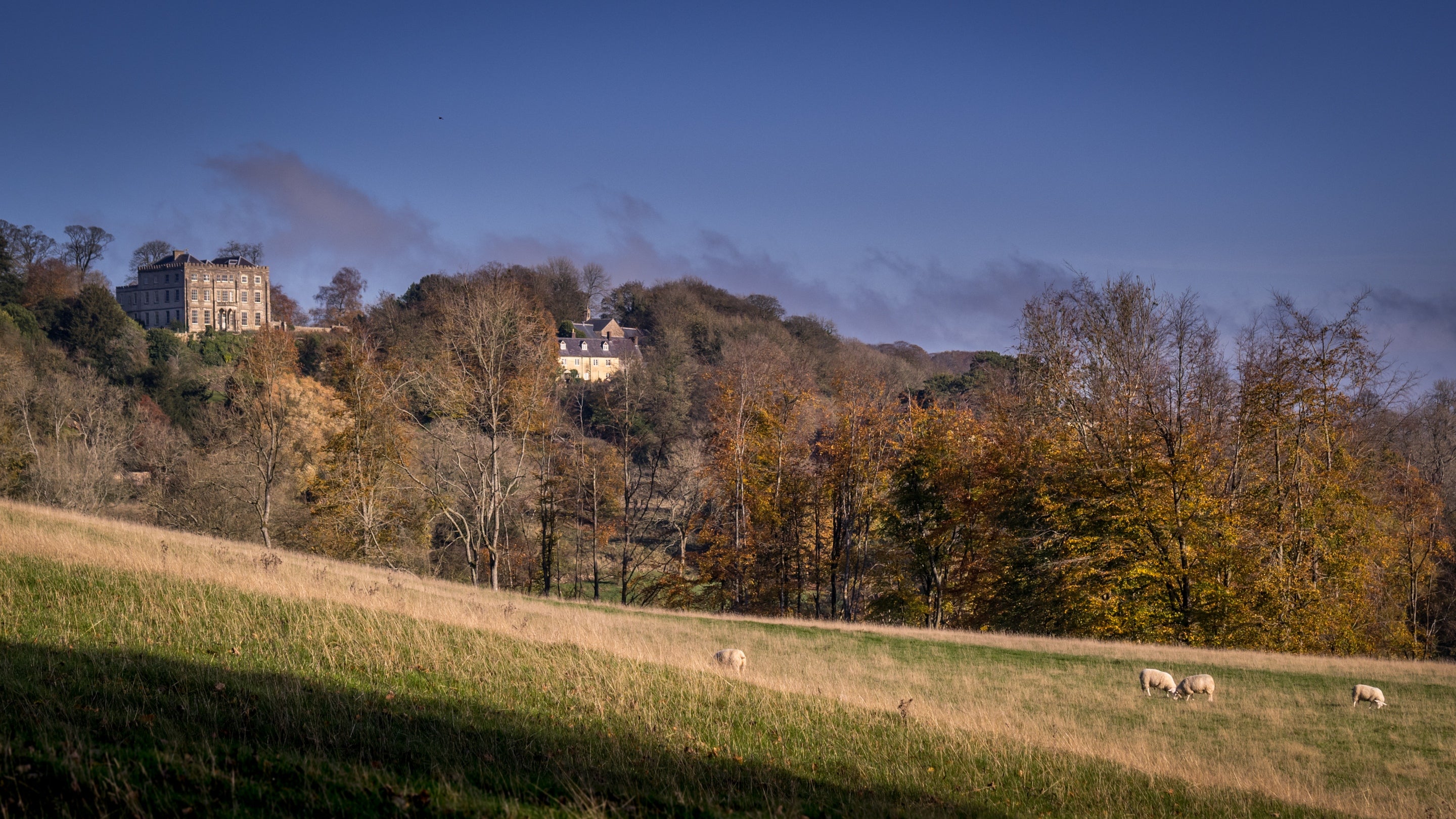 The area surrounding Lion Lodge, Gloucestershire