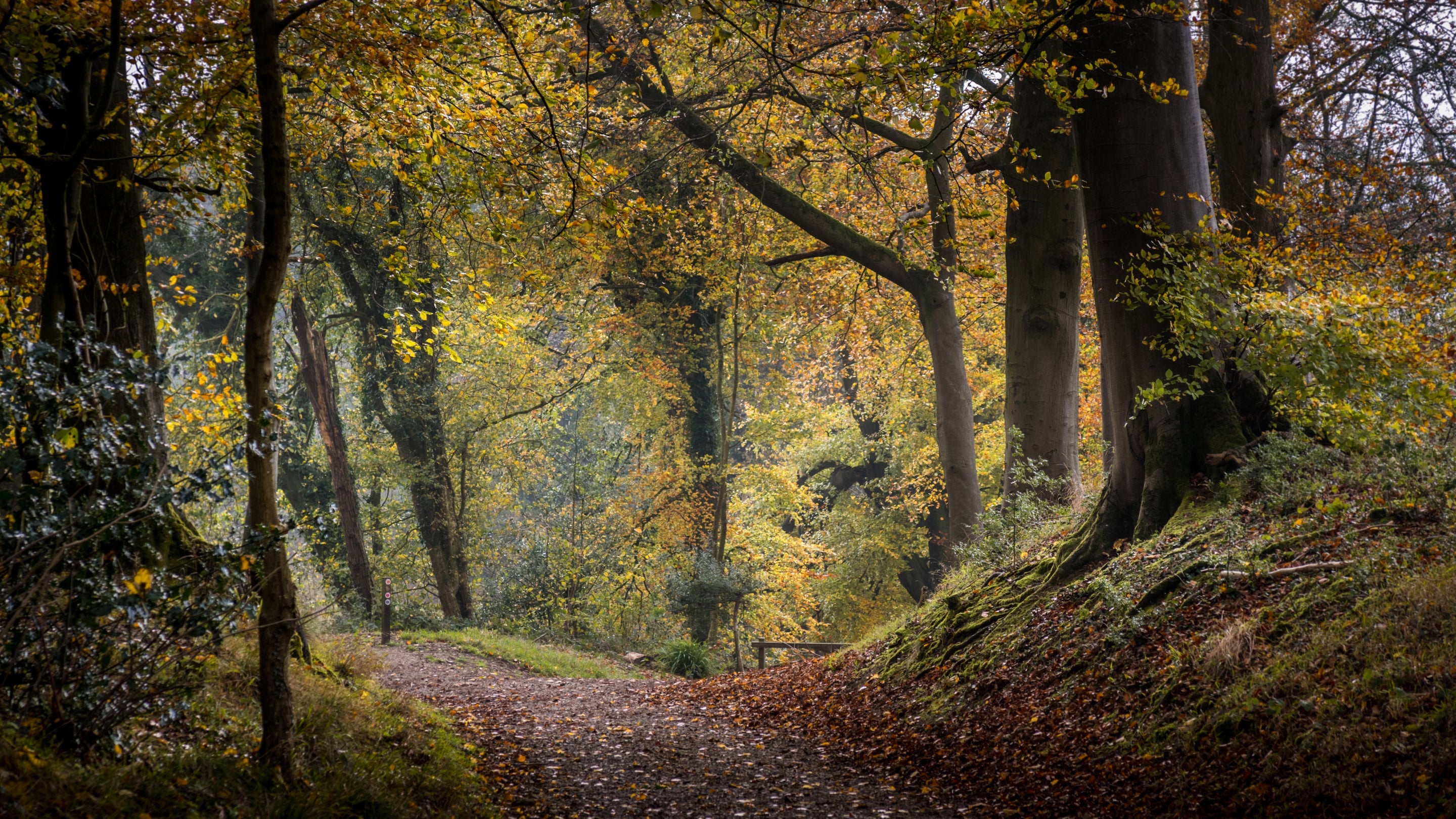 The area surrounding Lion Lodge, Gloucestershire