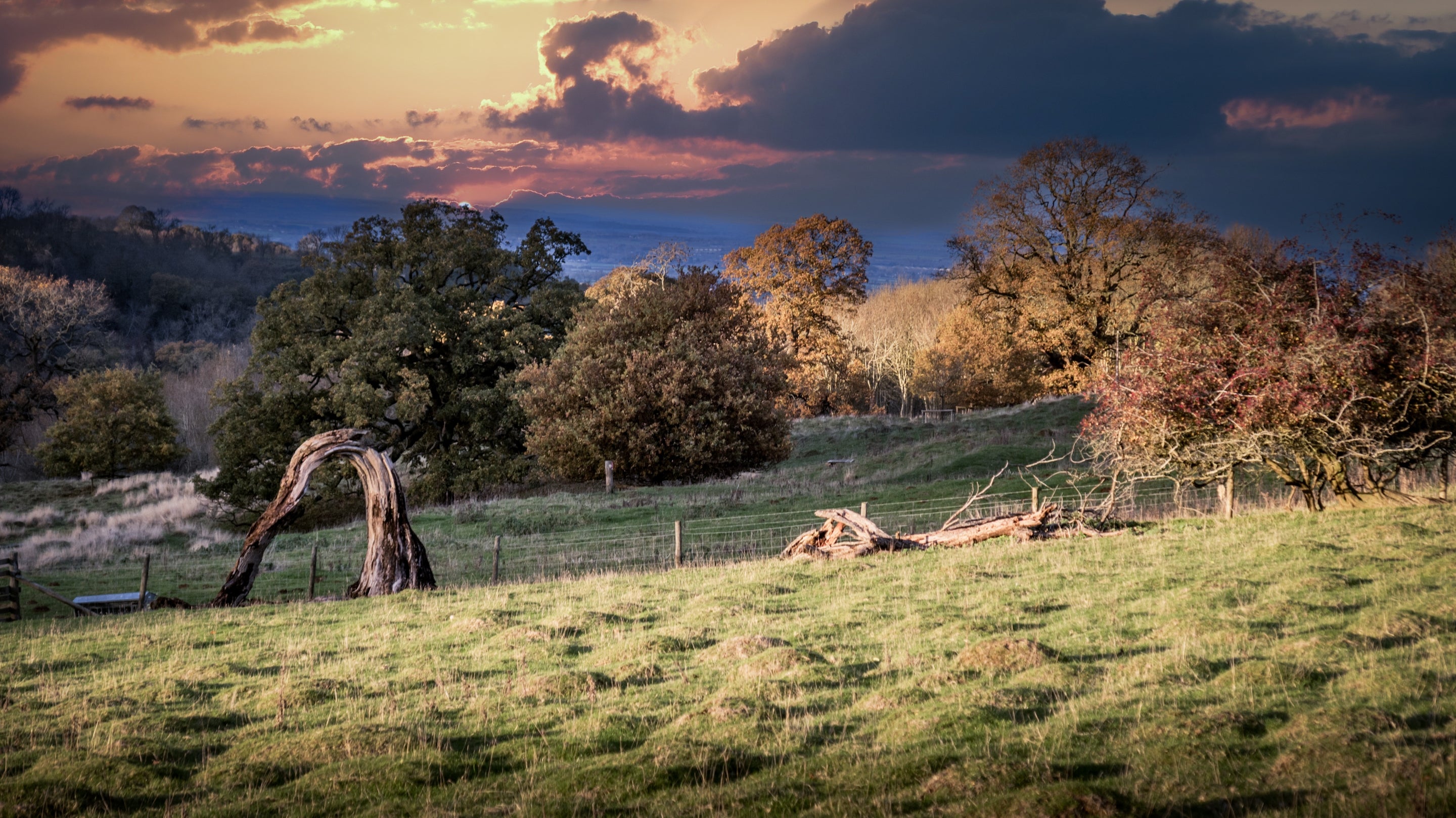 The area surrounding Snowshill Manor Farmhouse, Gloucestershire