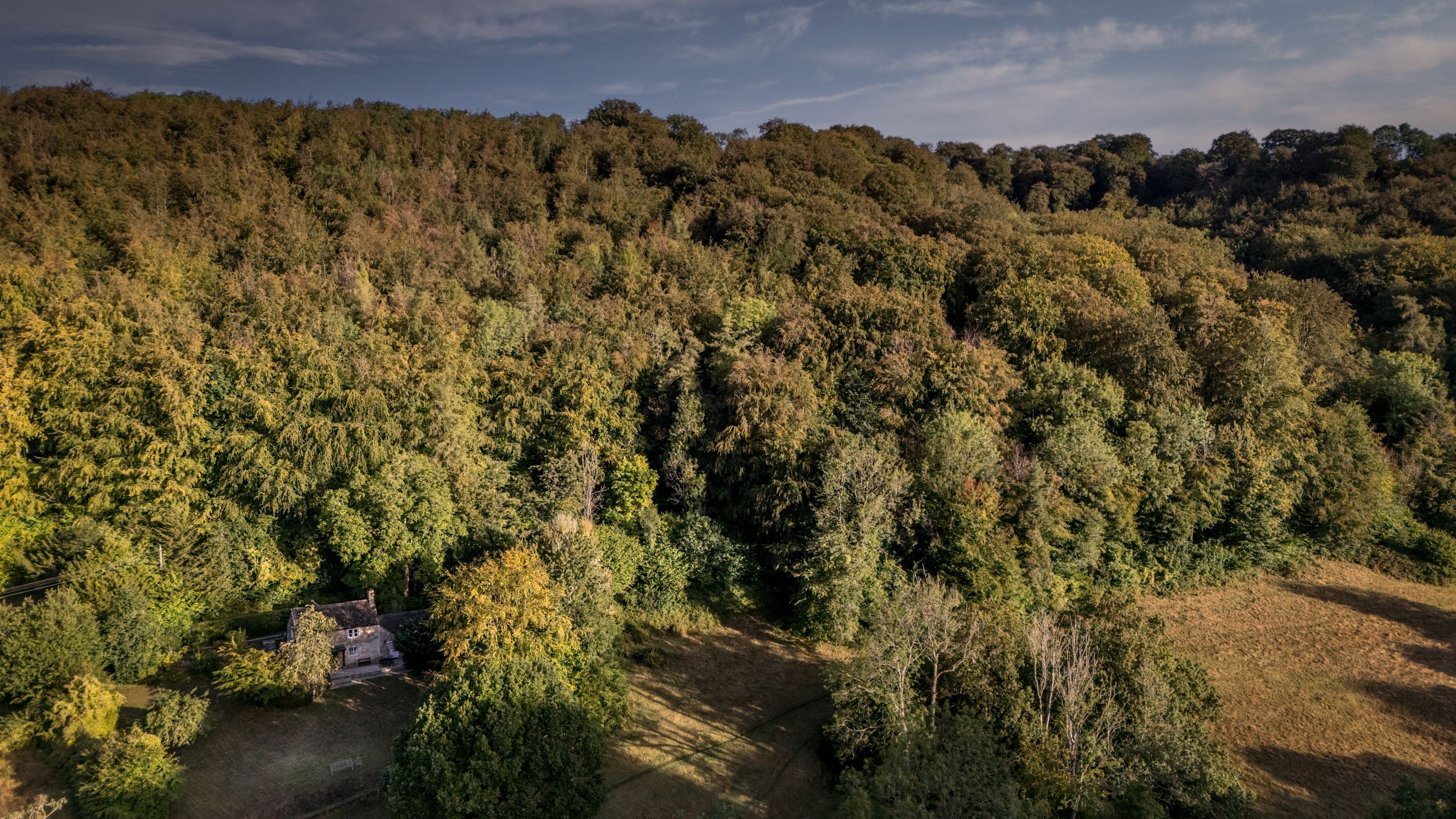 An aerial view of Woody's Cottage and the surrounding Workman's Wood, Gloucestershire