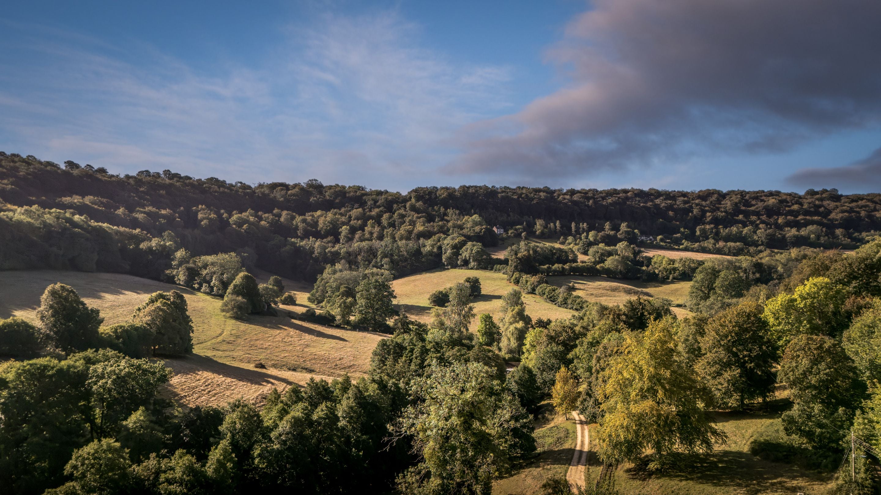 An aerial view of the fields and woodland in the valley around Woody's Cottage, Gloucestershire