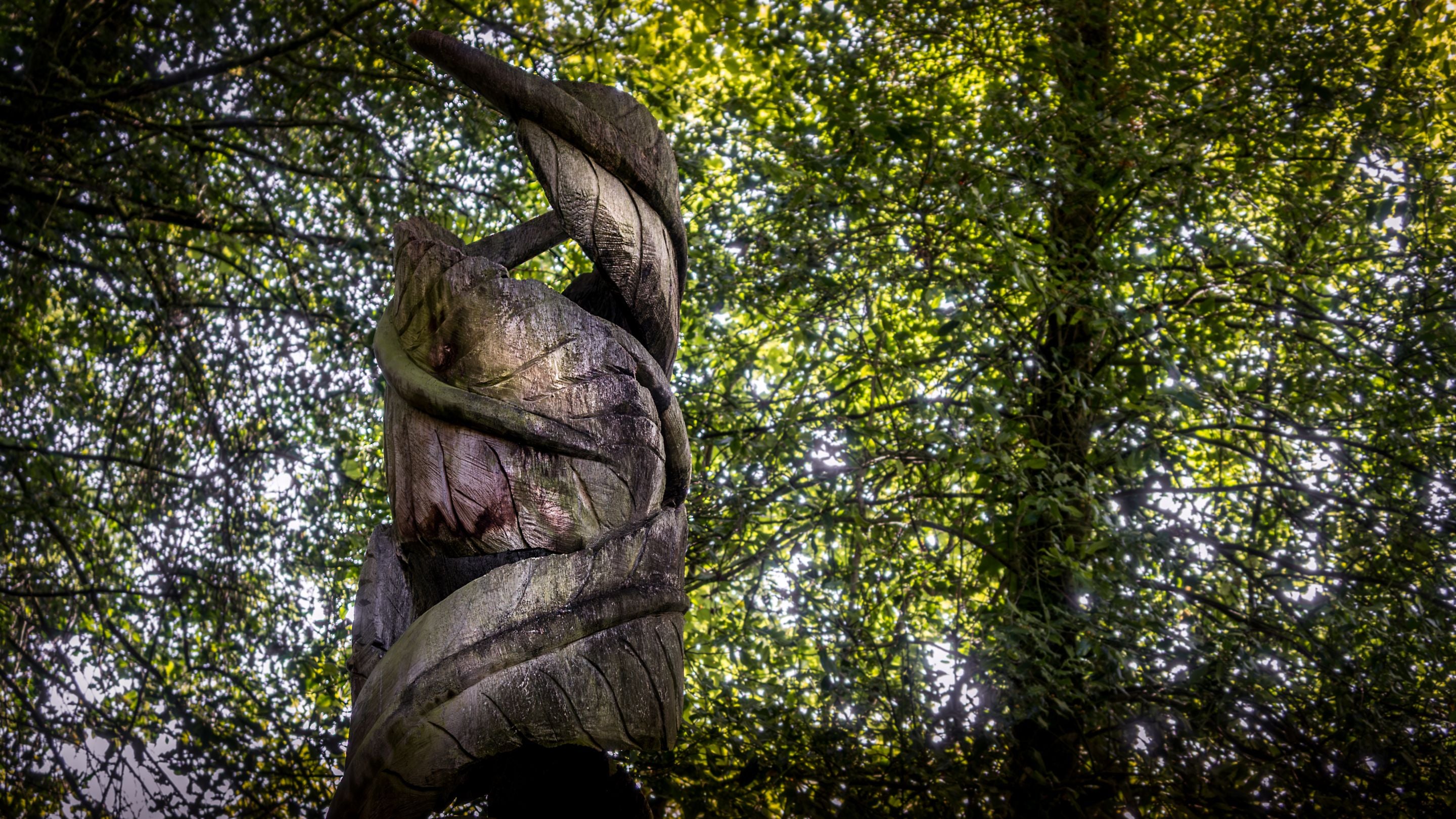 A wooden carving, shaped like feathers curved into a cylinder, in the woods near Woody's Cottage, Gloucestershire
