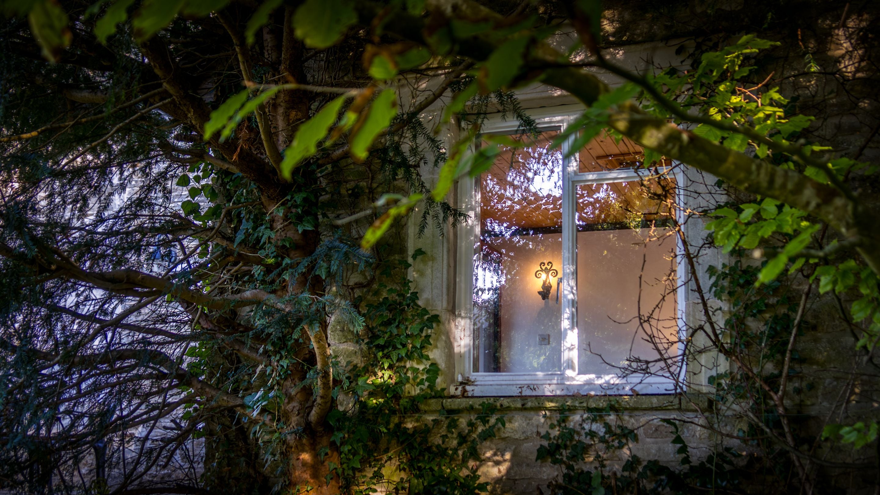 The exterior of the garden room at Woody's Cottage with ivy growing along the wall, Gloucestershire