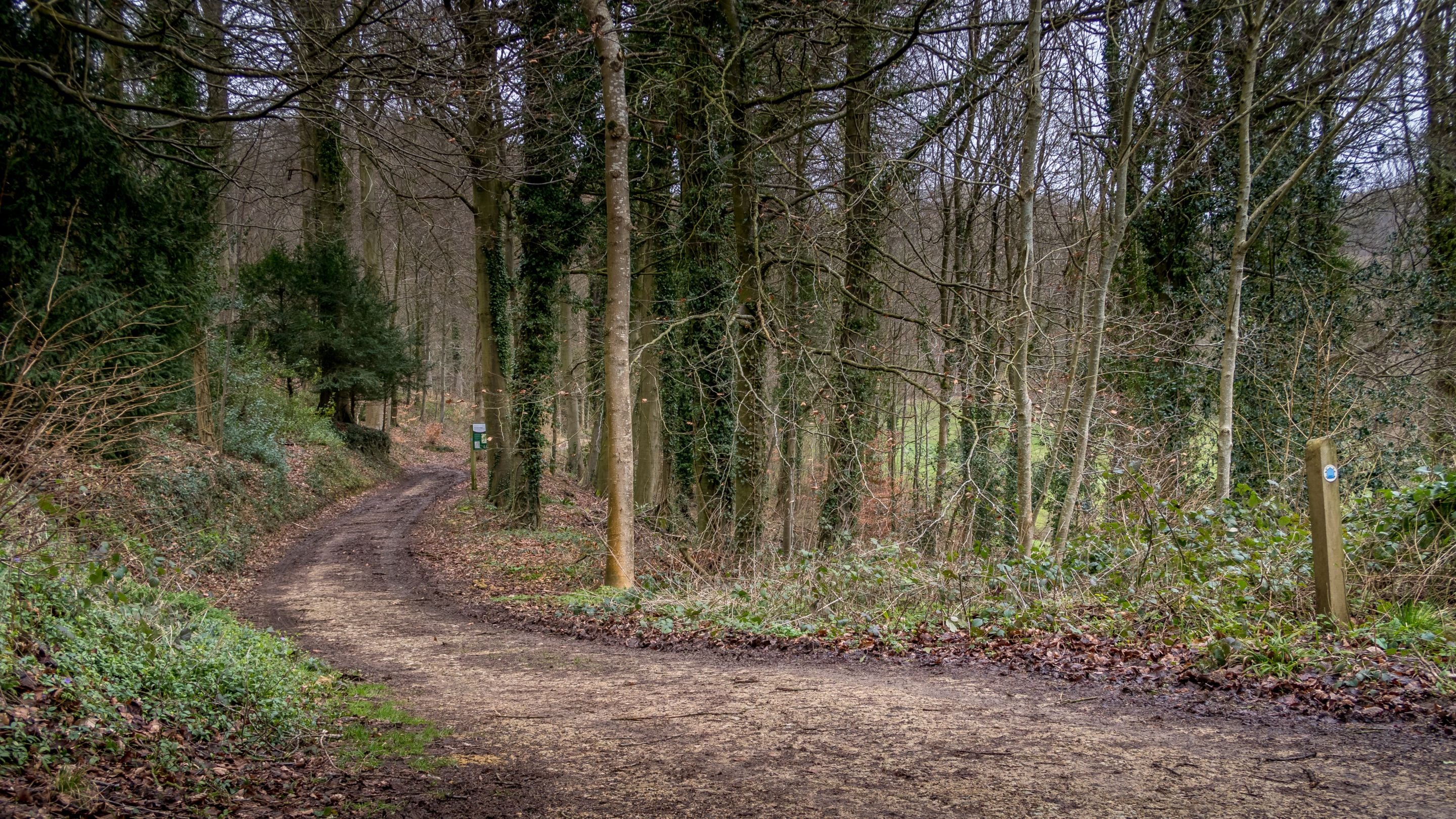 The area surrounding Woody's Cottage, Gloucestershire