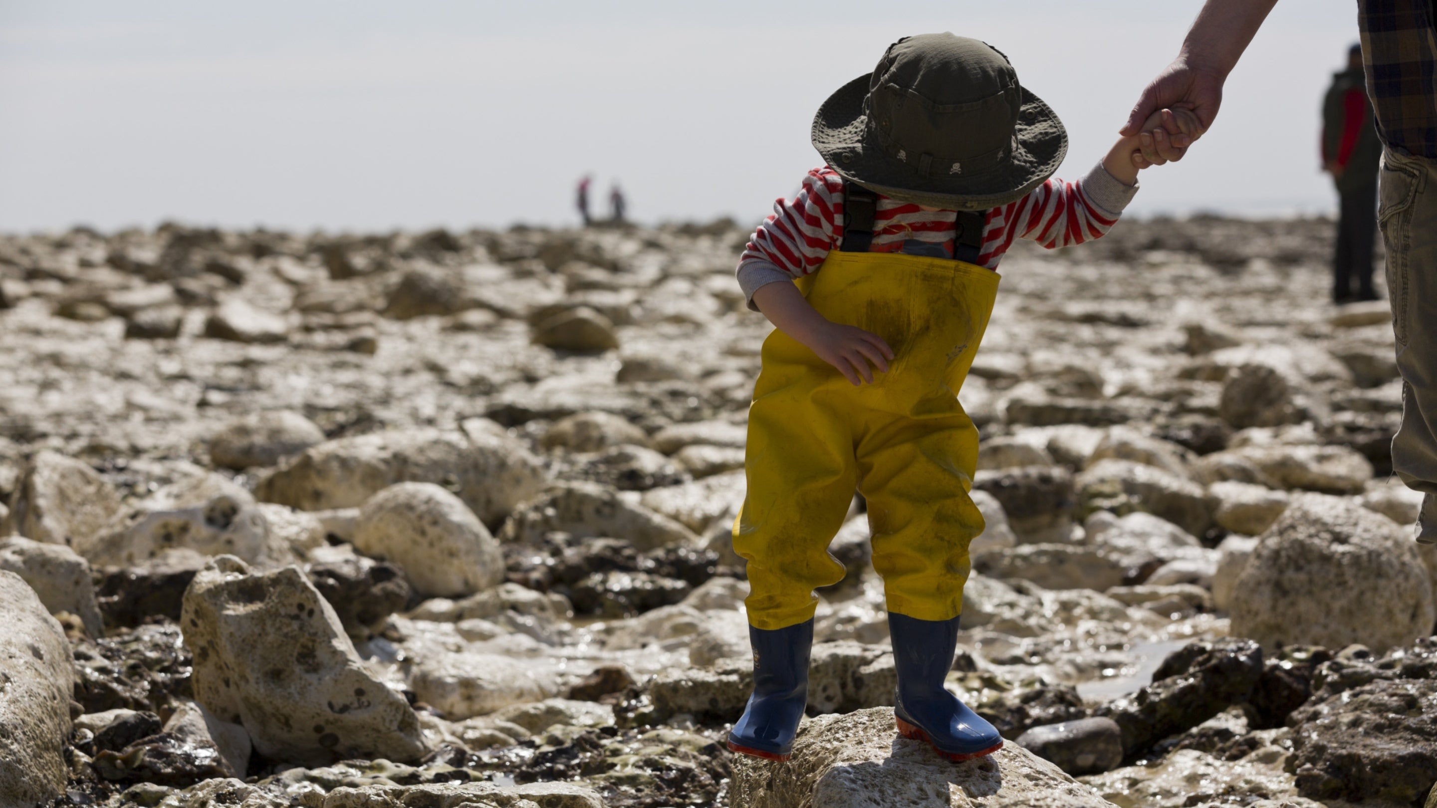 Child exploring the beach at Birling Gap, part of the Seven Sisters chalk cliffs range in East Sussex.