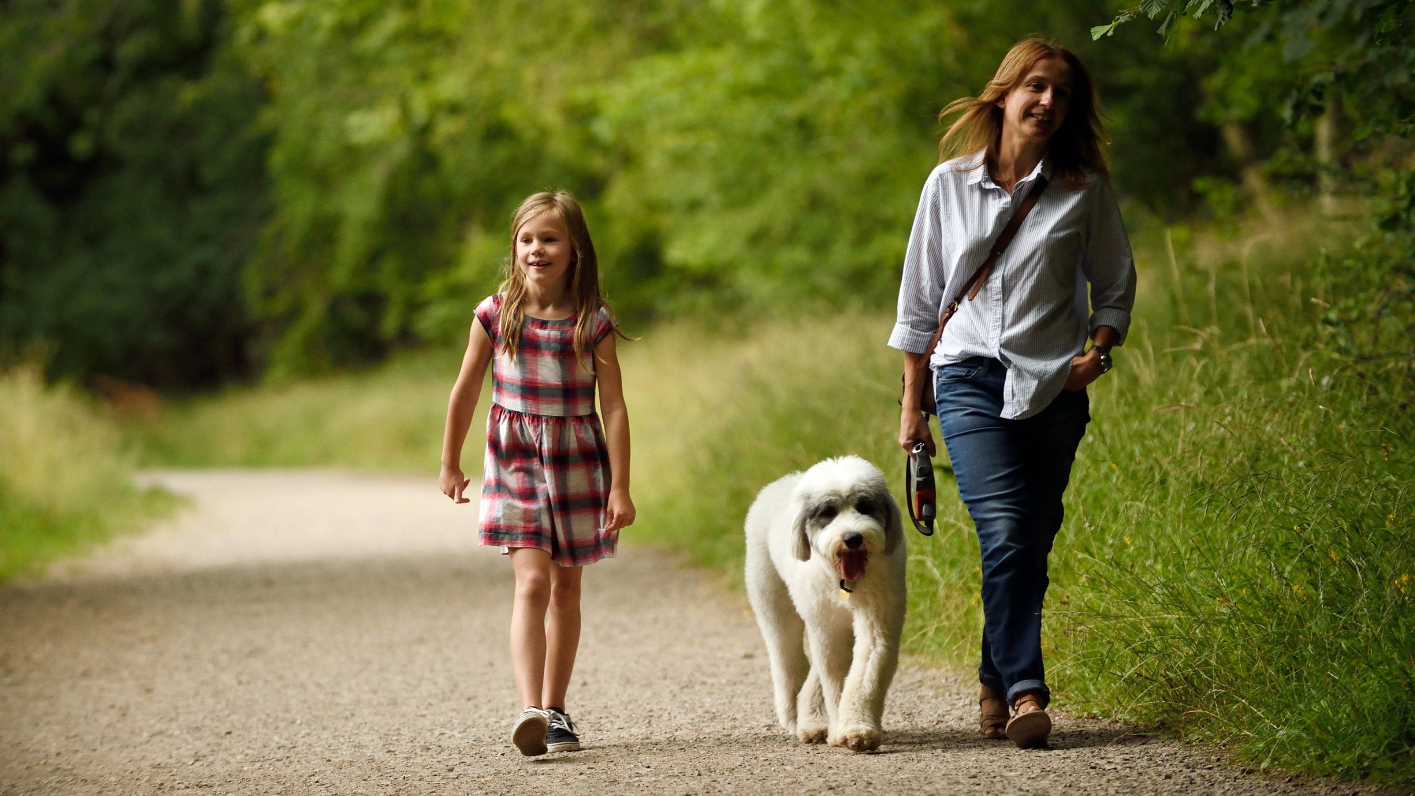 Family walking a dog at Ashridge Estate, hertfordshire