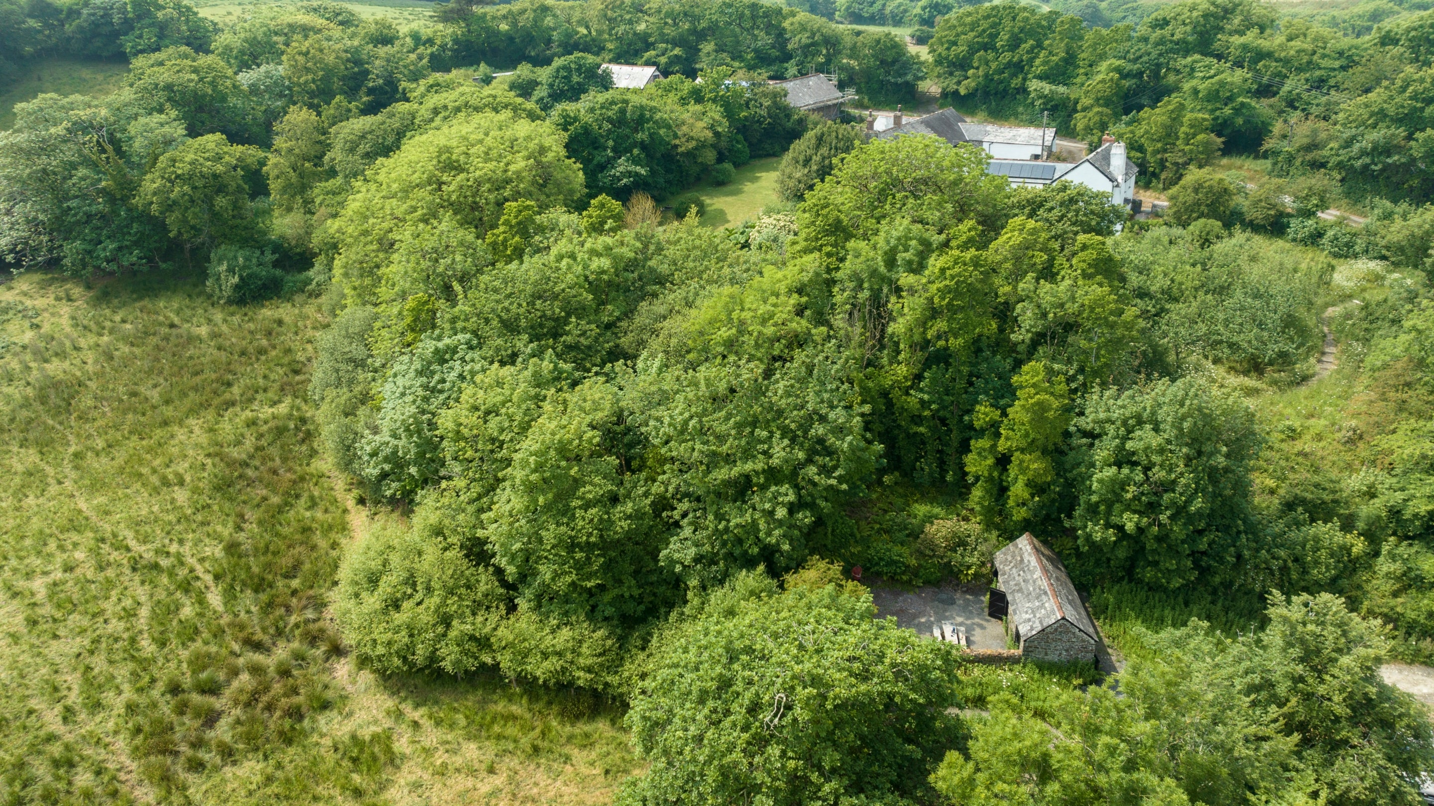 The area surrounding Brownsham Bothy, Devon