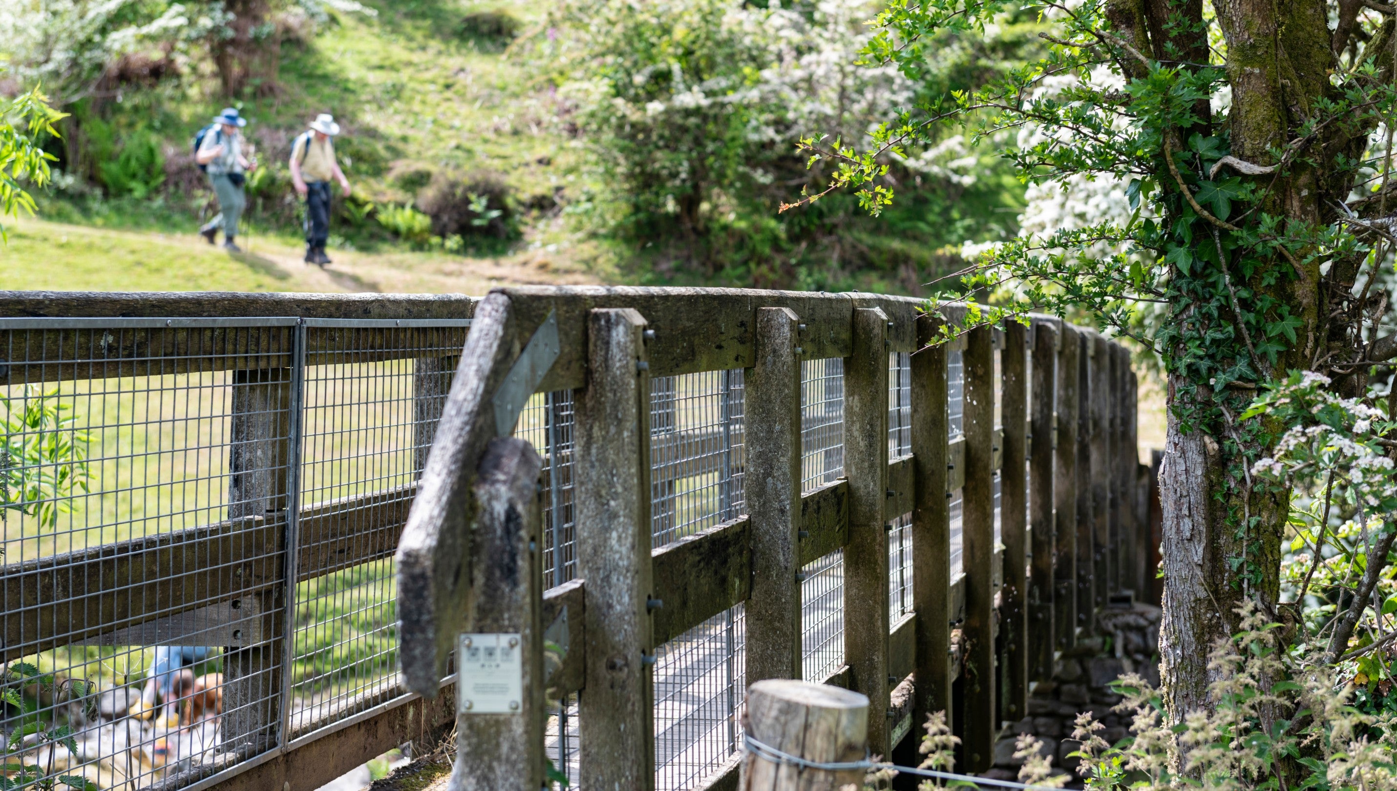 Walking from Cloud Farm Campsite, Devon