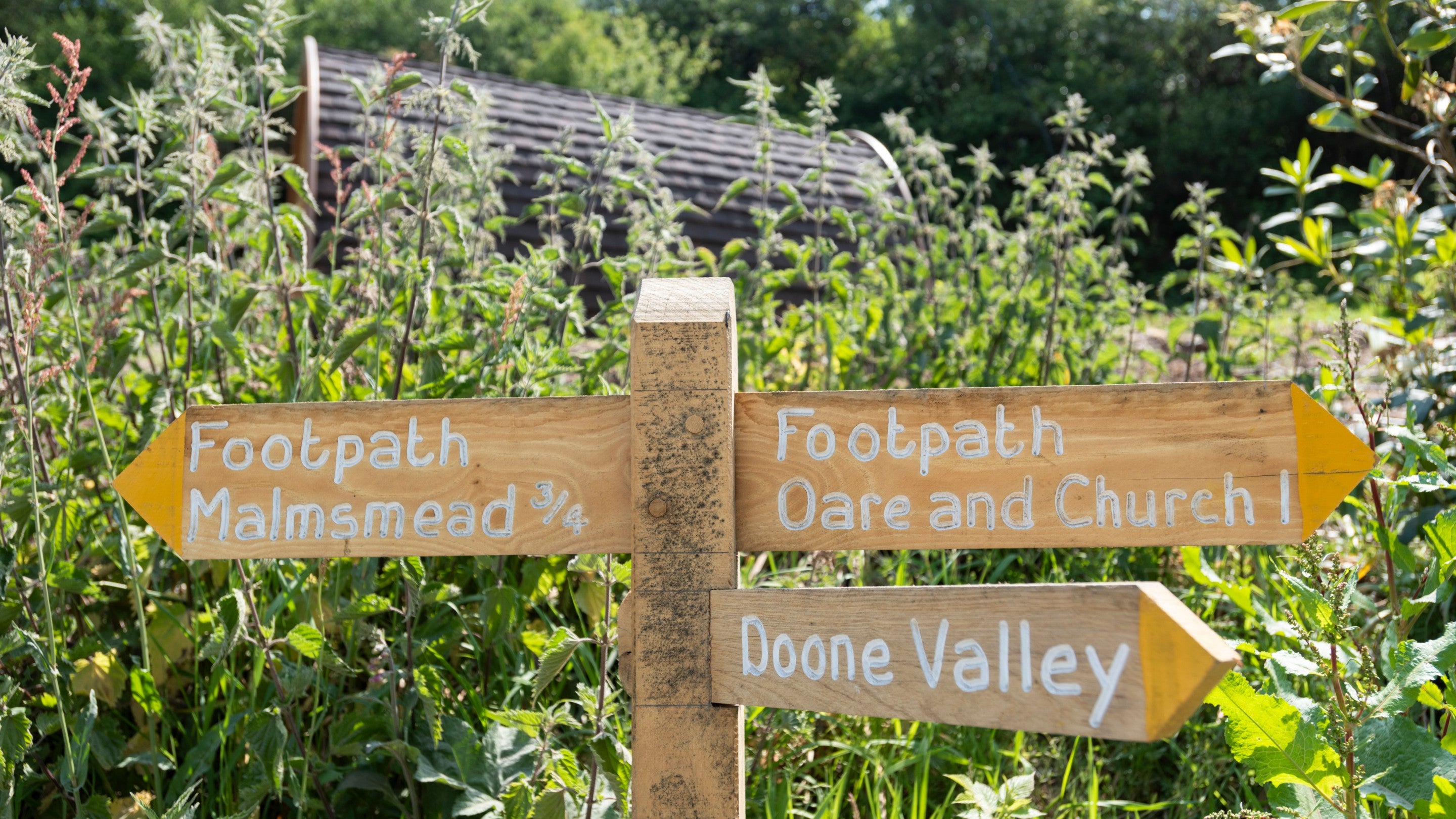 Paths leading from Cloud Farm Campsite, Devon