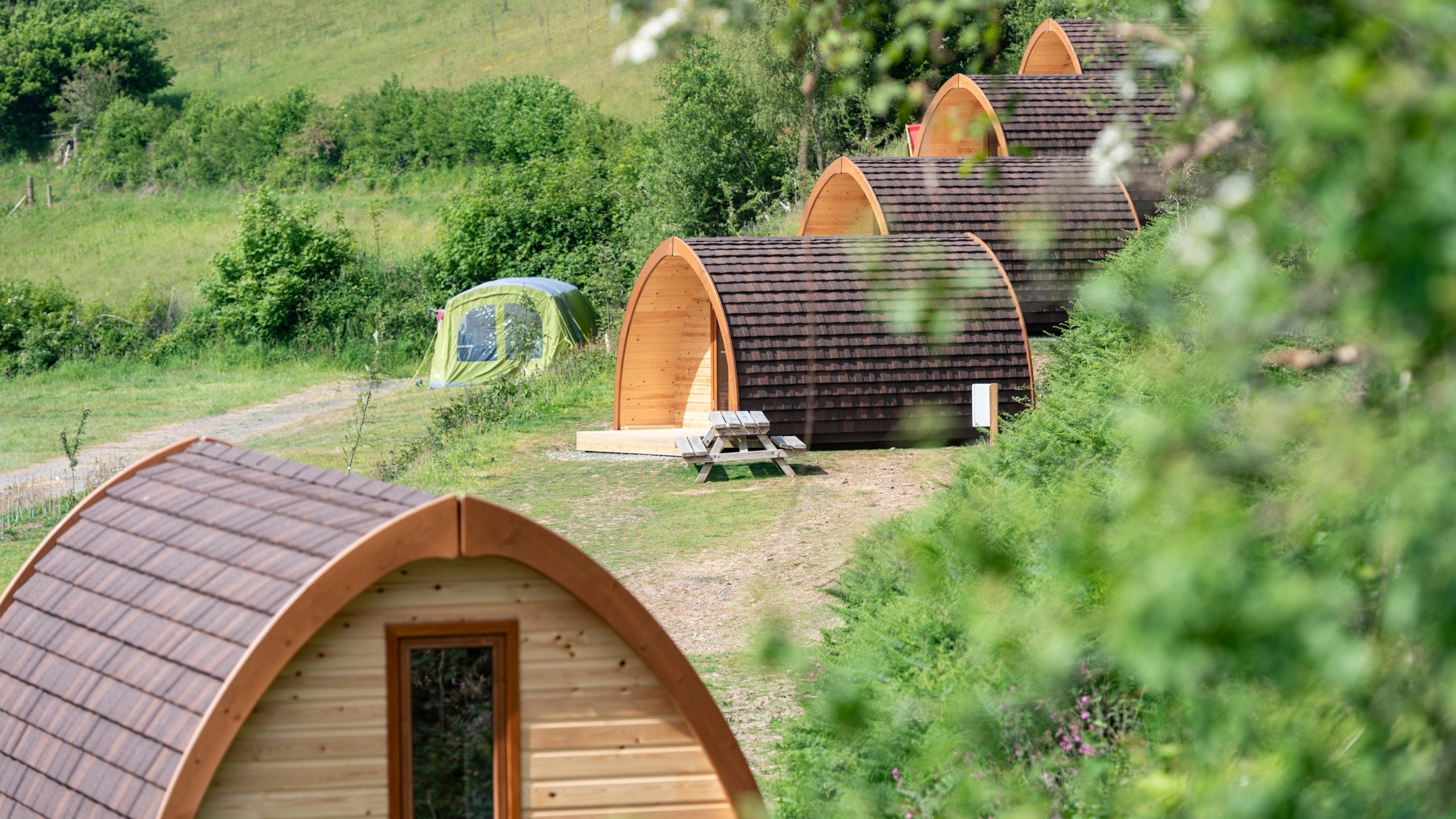 The row of pods at Cloud Farm Campsite, Devon