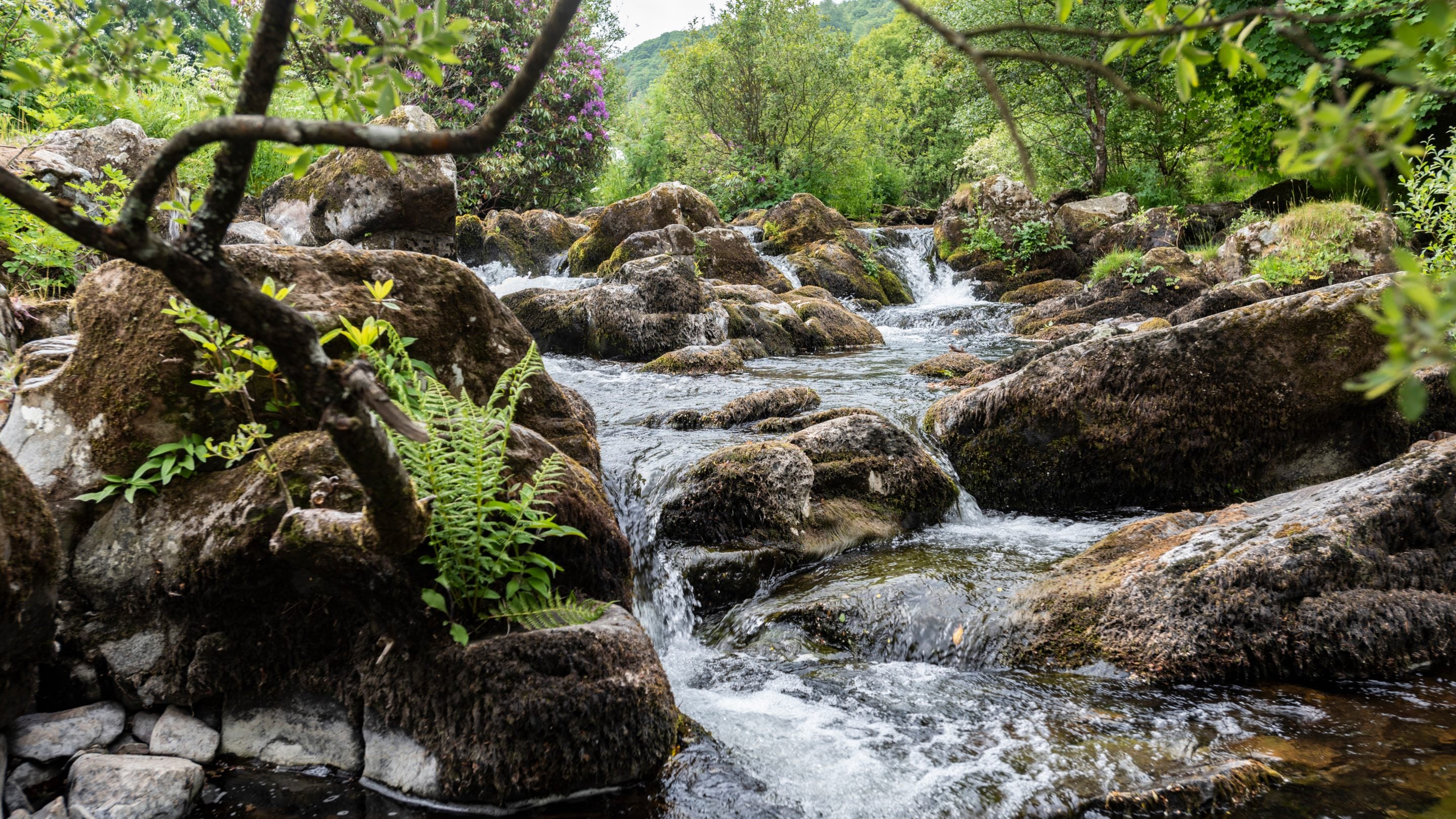 The river at Cloud Farm Campsite, Devon