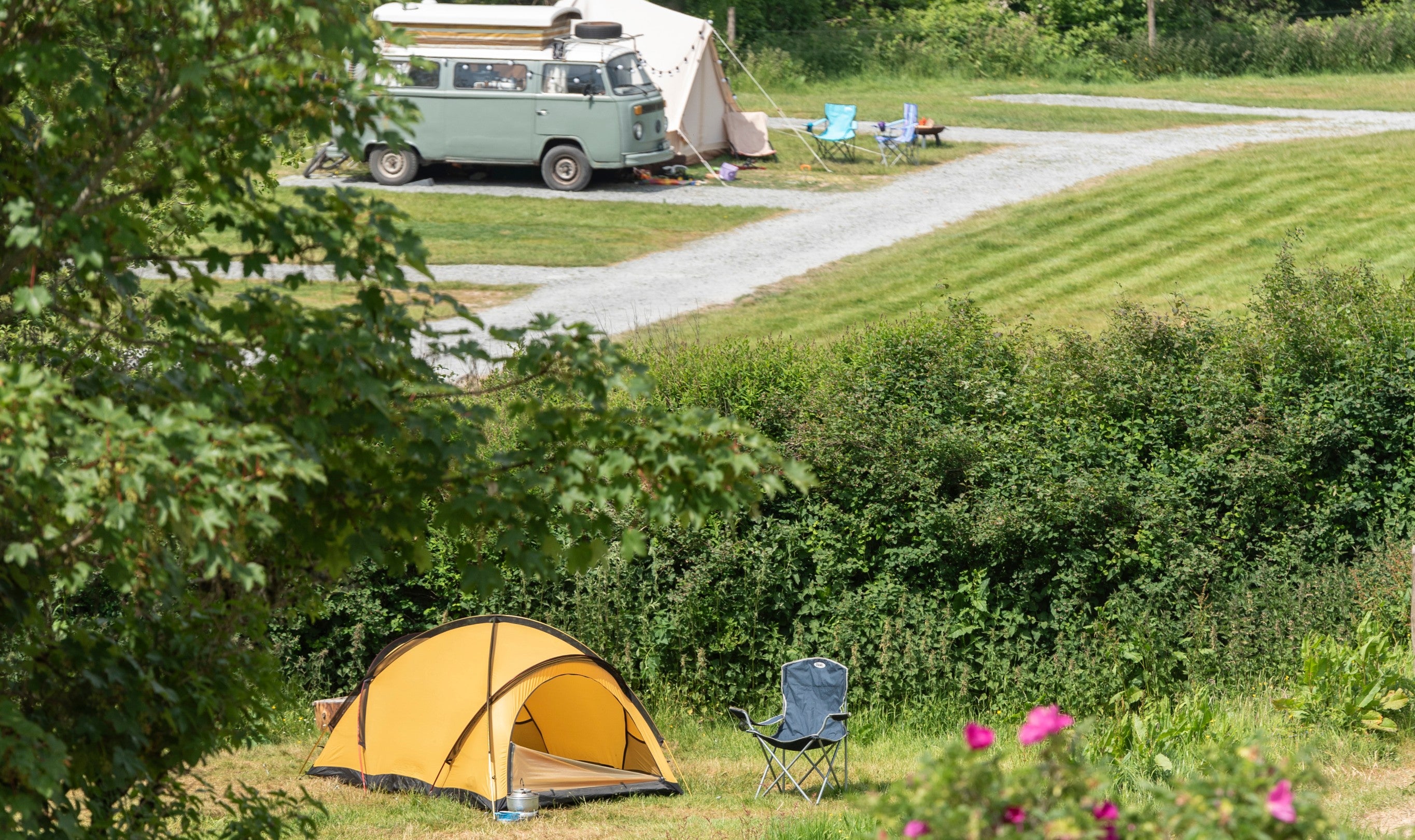 A tent and campervan at Cloud Farm Campsite, Devon