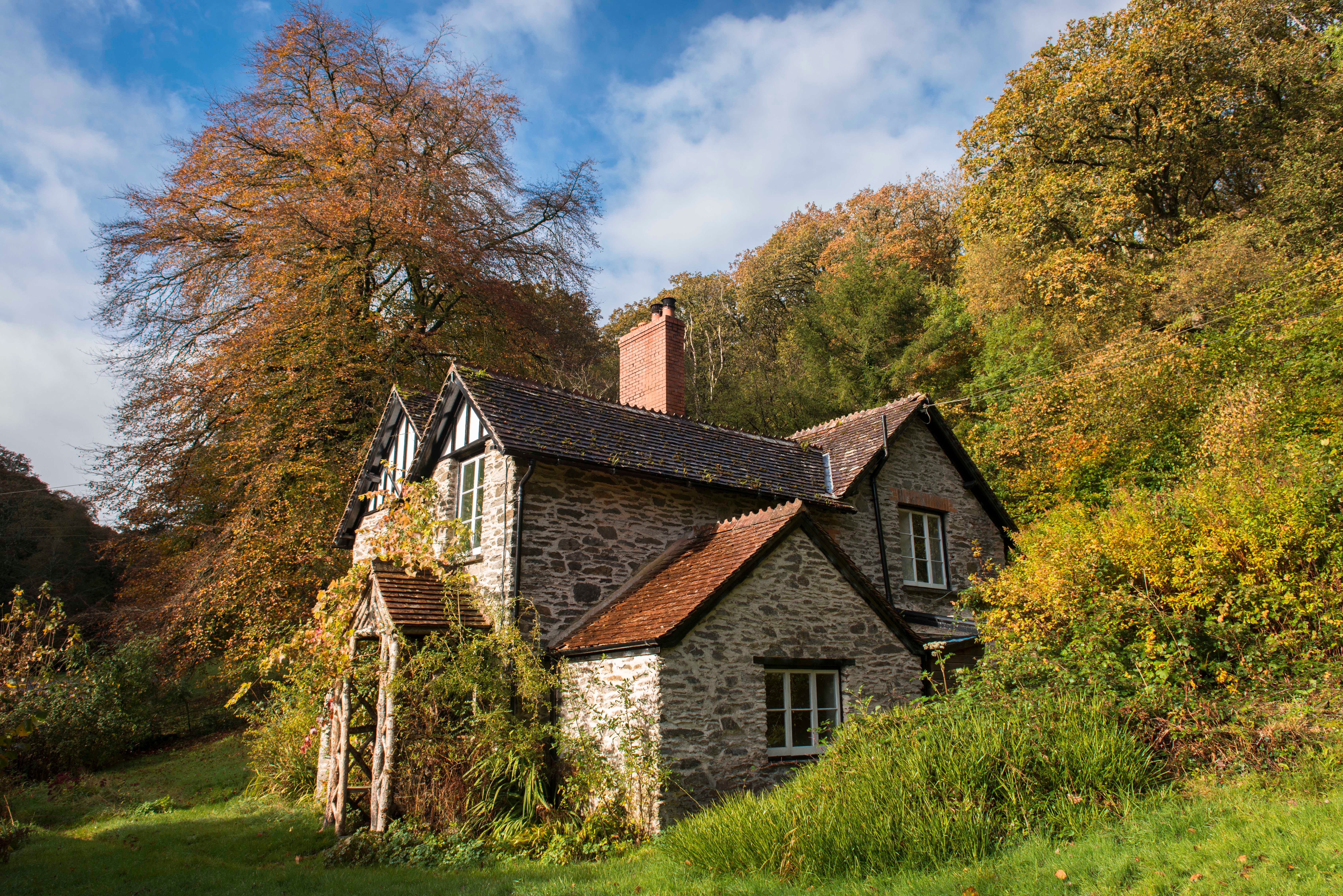 Cottage In The Woods