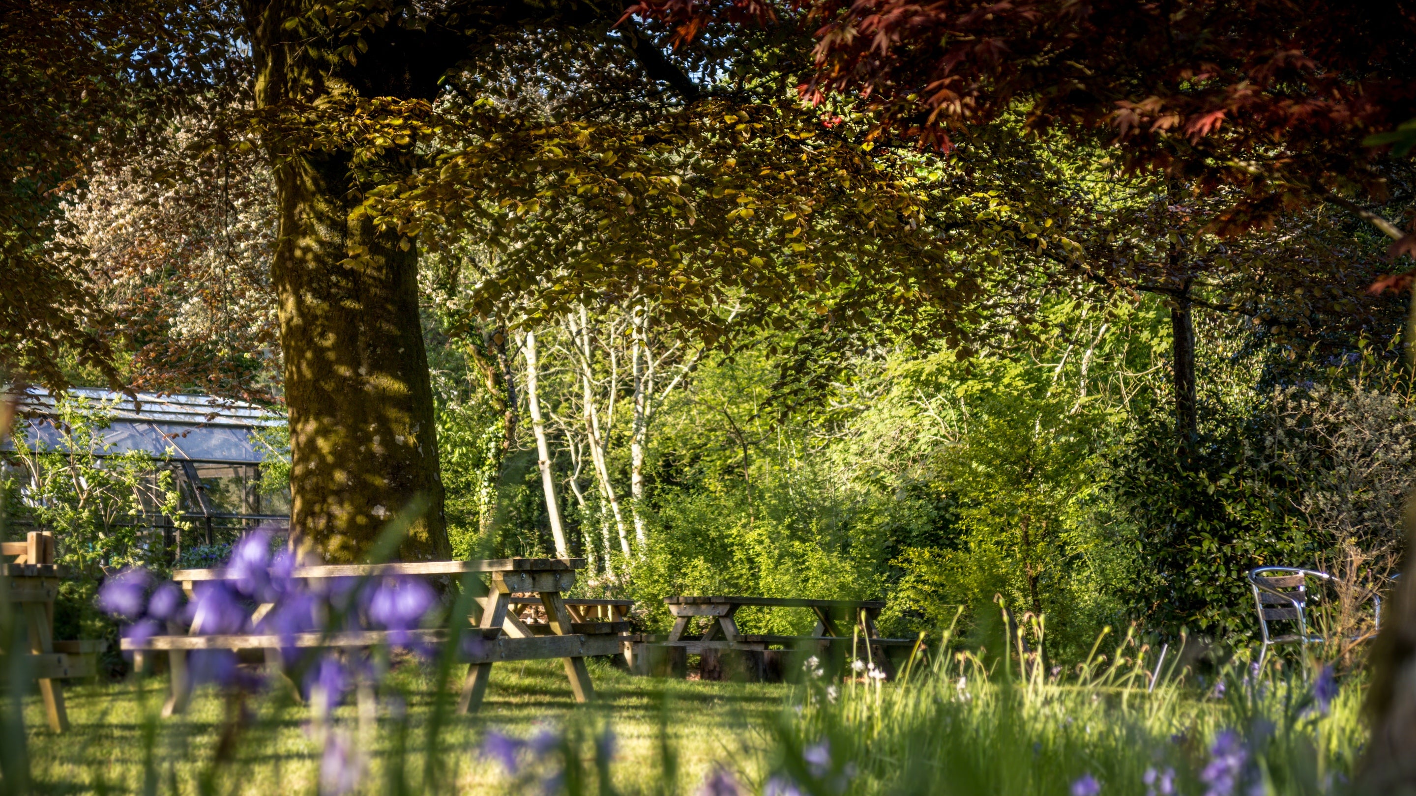 The area surrounding Heron View, Devon