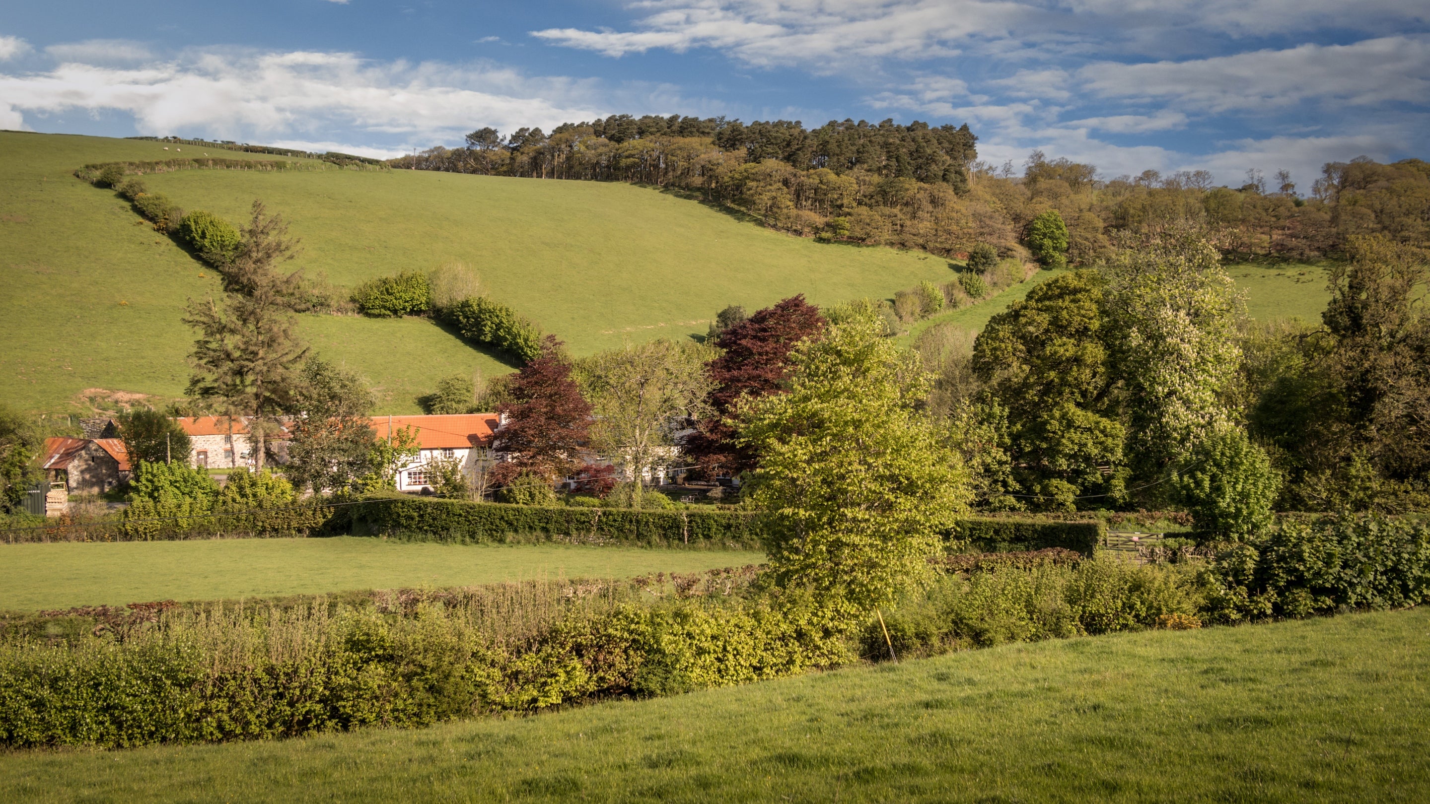 The area surrounding Heron View, Devon